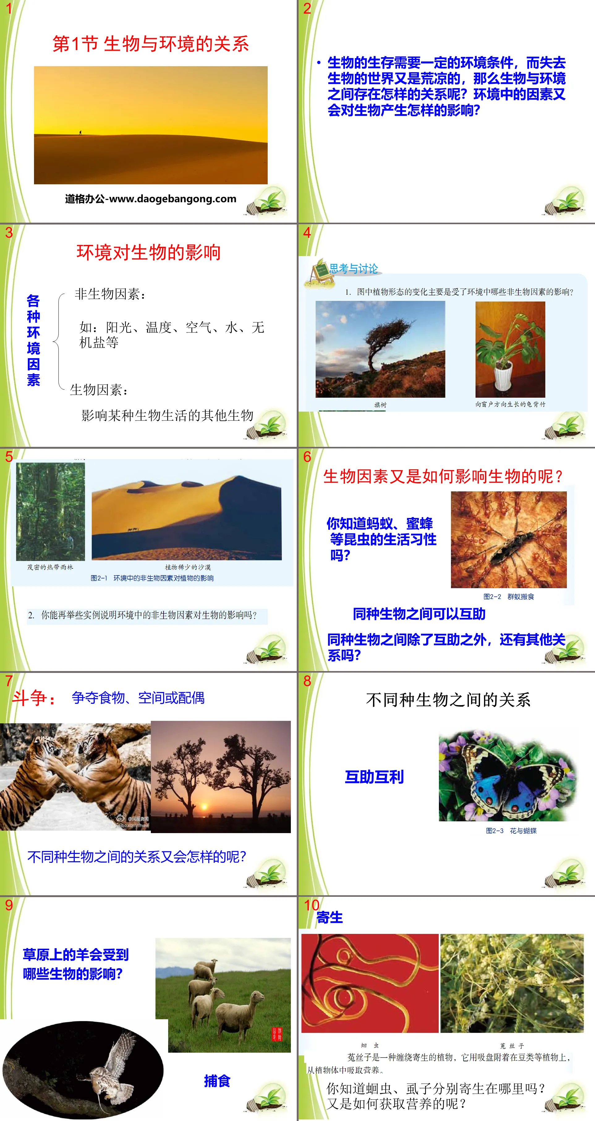 《生物與環境的關係》PPT課程下載