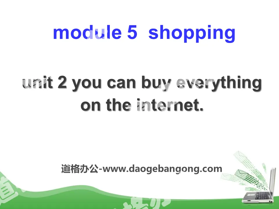 《You can buy everything on the Internet》Shopping PPT课件3
