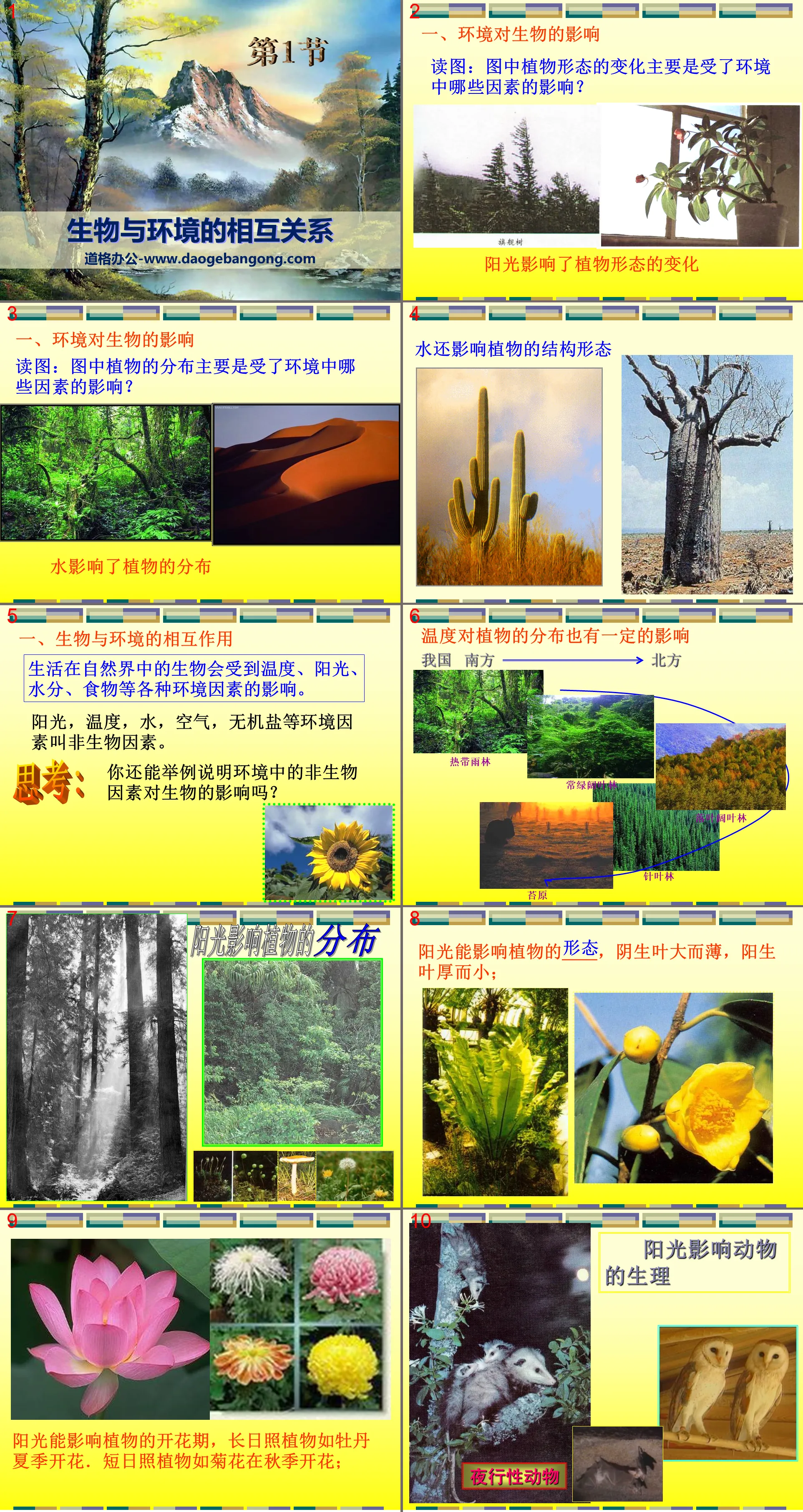 "The Relationship between Biology and Environment" PPT download