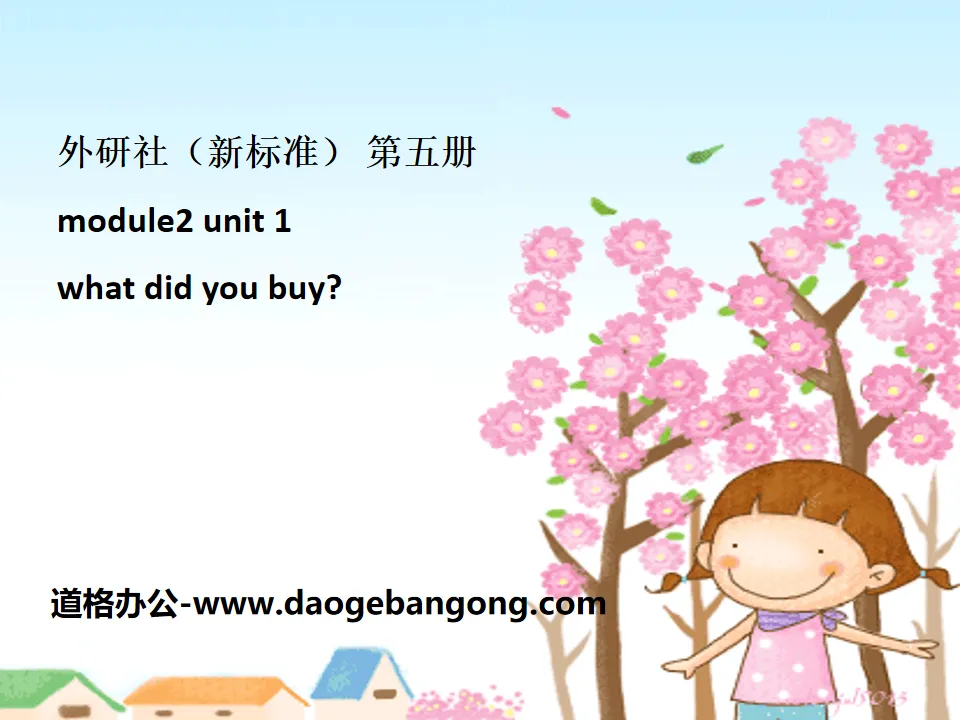 《What did you buy?》PPT课件2
