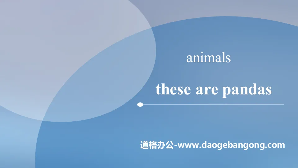 《These are pandas》Animals PPT