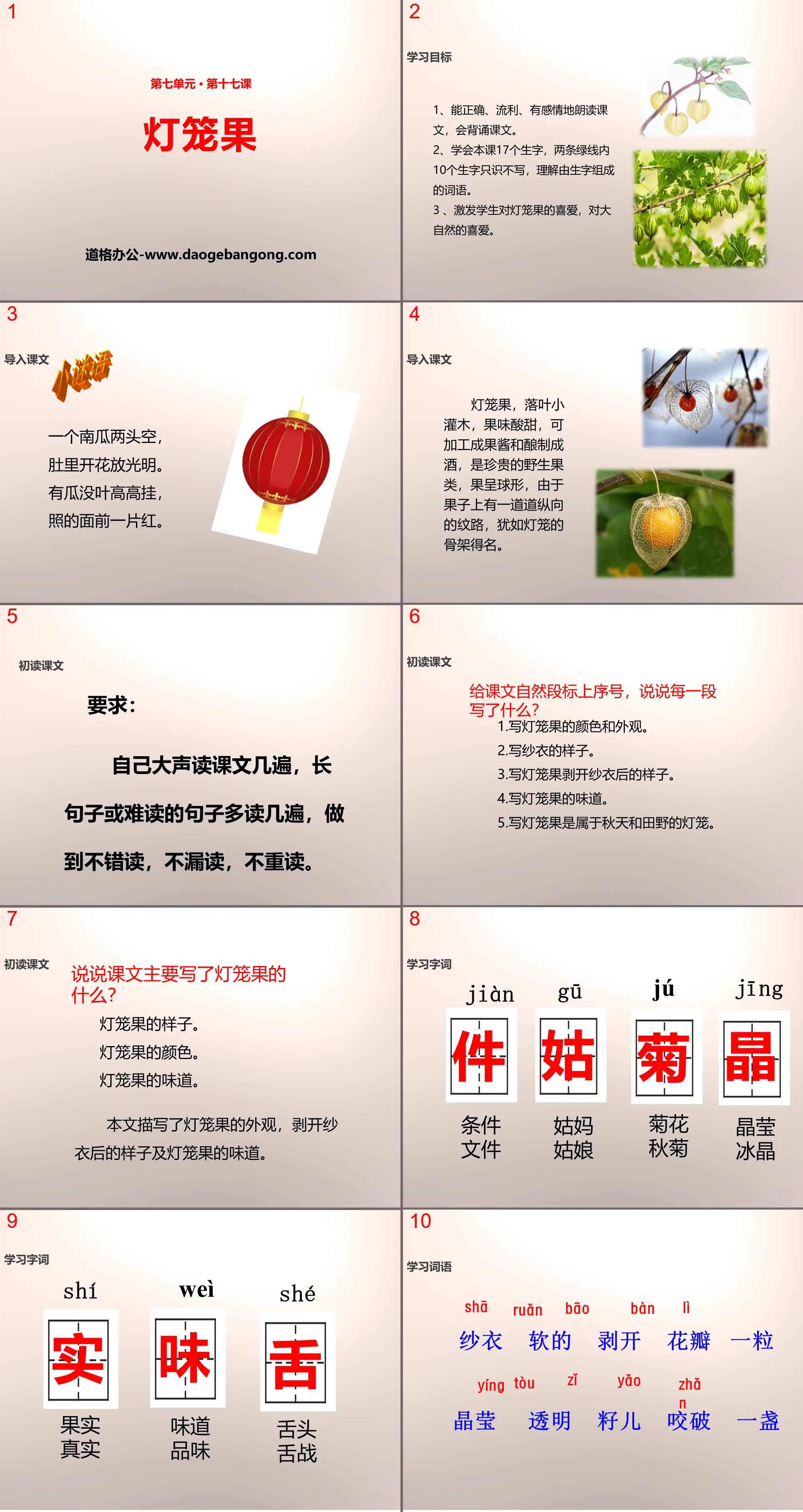 《灯笼果》PPT