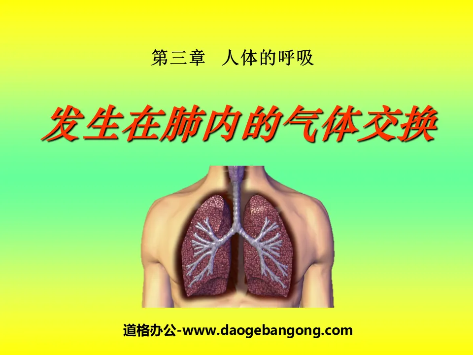 "Gas Exchange Occurring in the Lungs" Human Respiration PPT Courseware 2