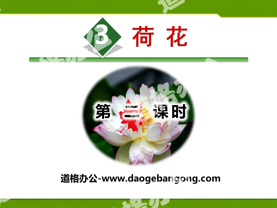 《荷花》PPT(第二課時)