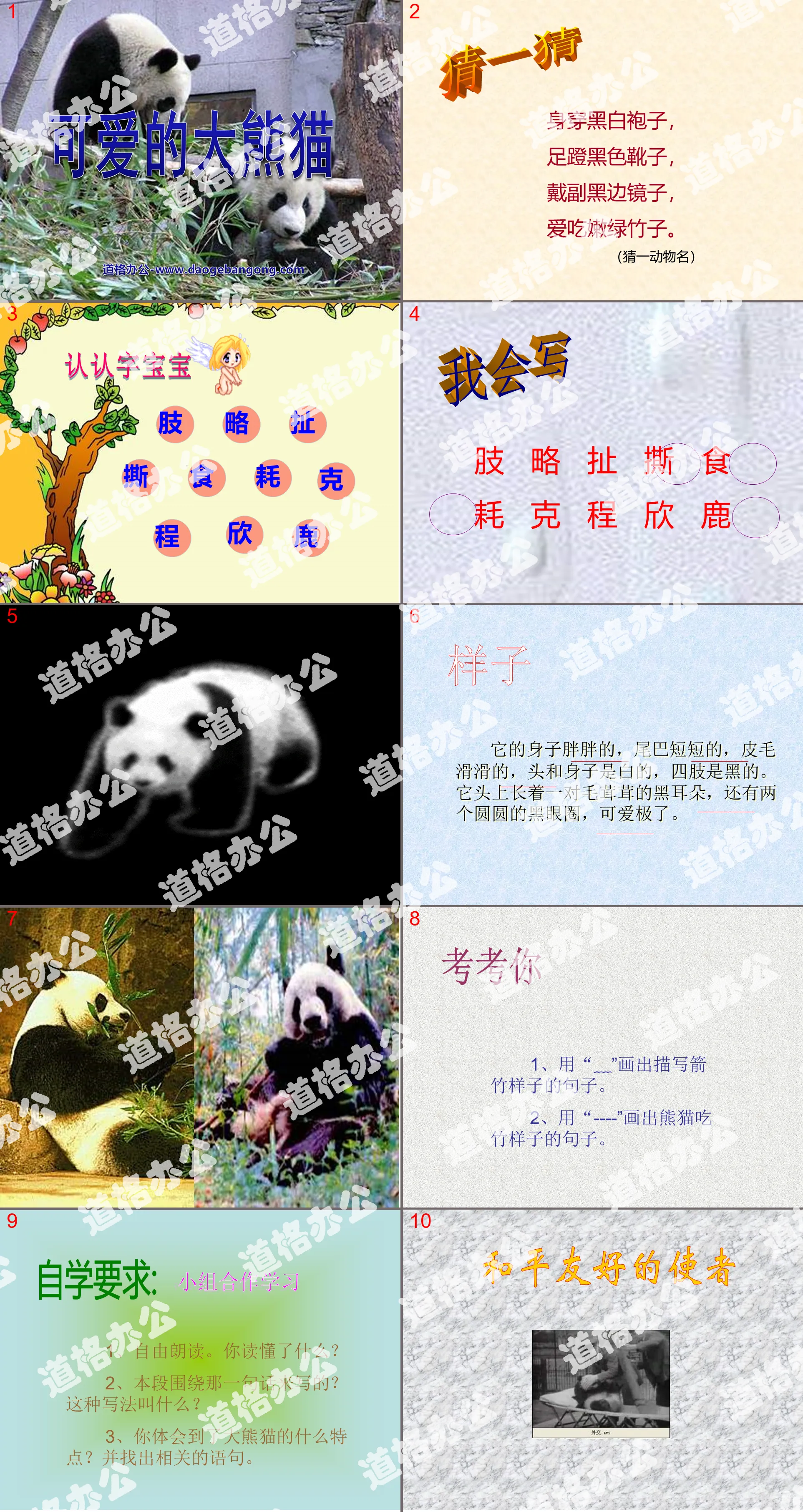 "Cute Giant Panda" PPT courseware 3