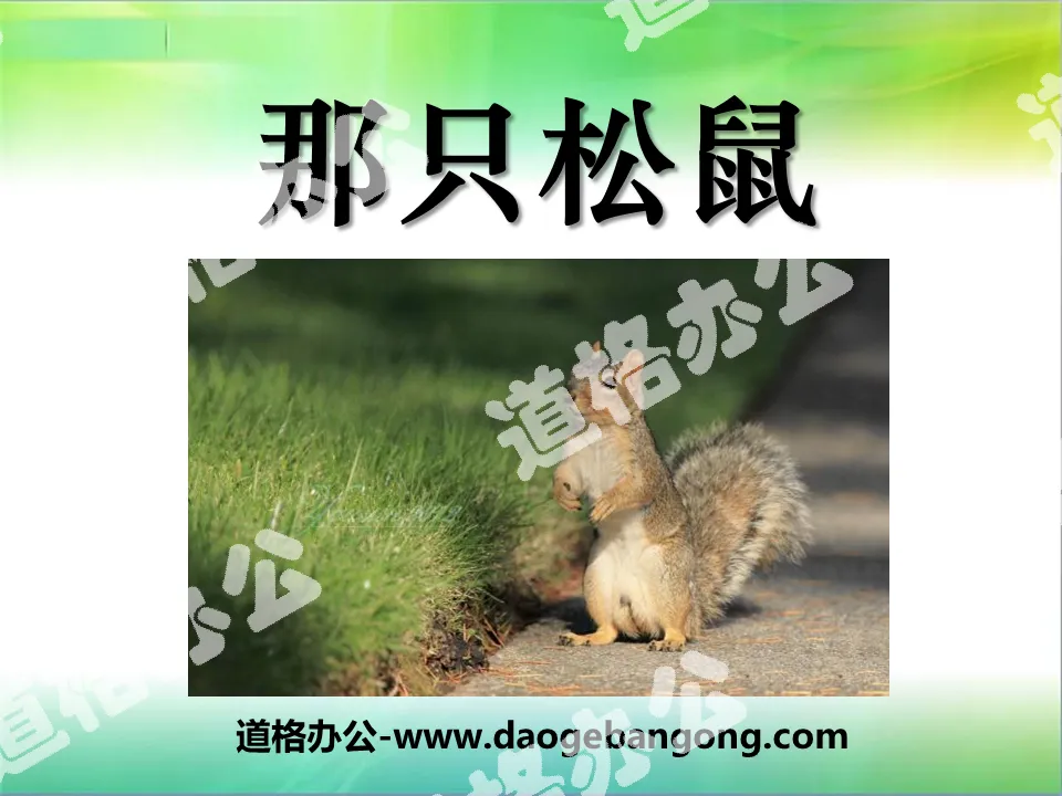 "That Squirrel" PPT Courseware 5