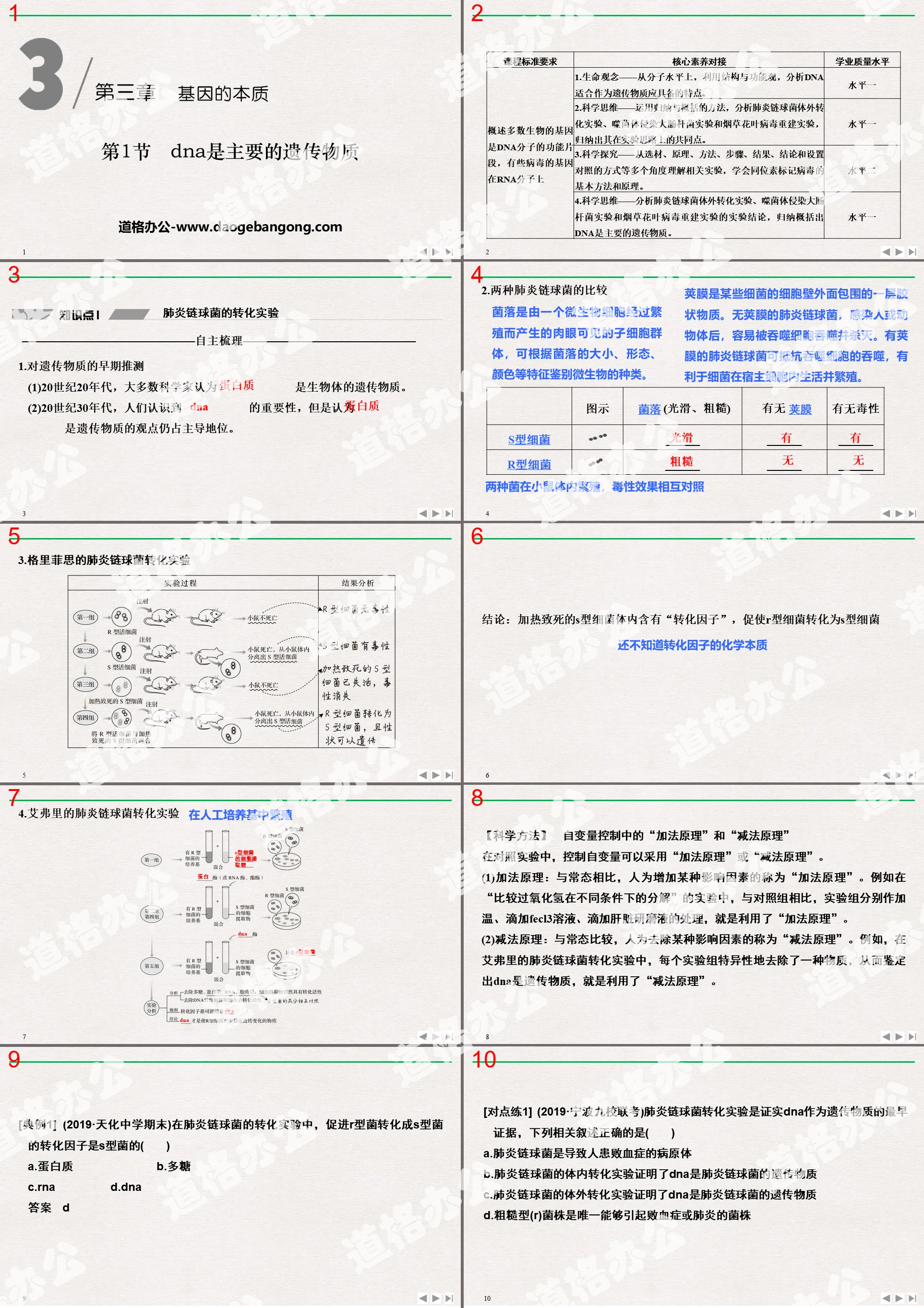 《DNA是主要的遗传物质》基因的本质PPT下载