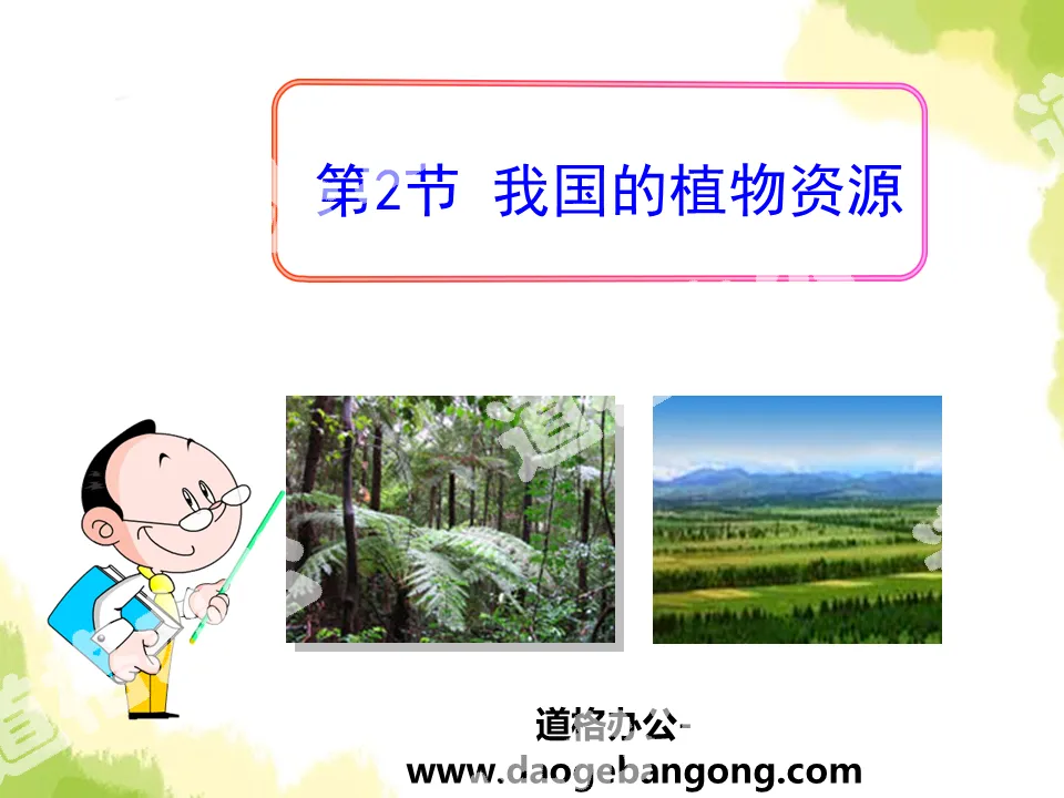 《我国的植物资源》PPT
