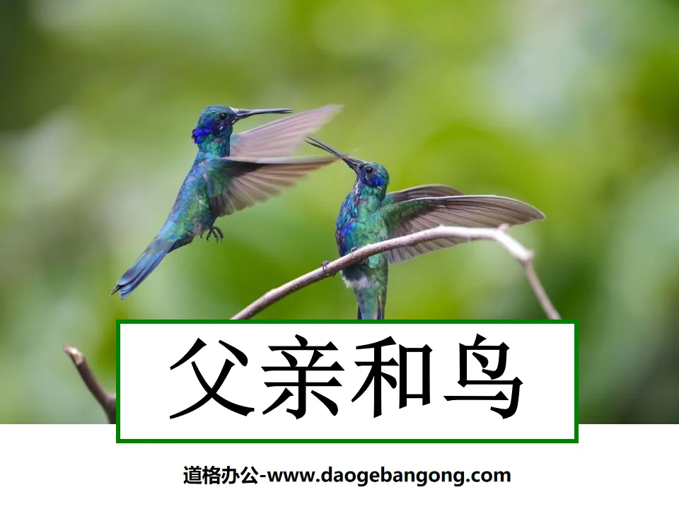 "Father and Bird" PPT courseware 2