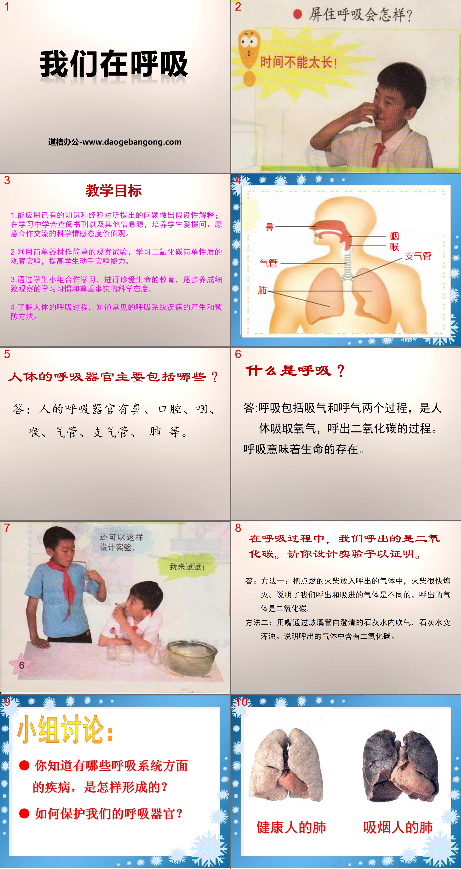 《 我们在呼吸 》PPT