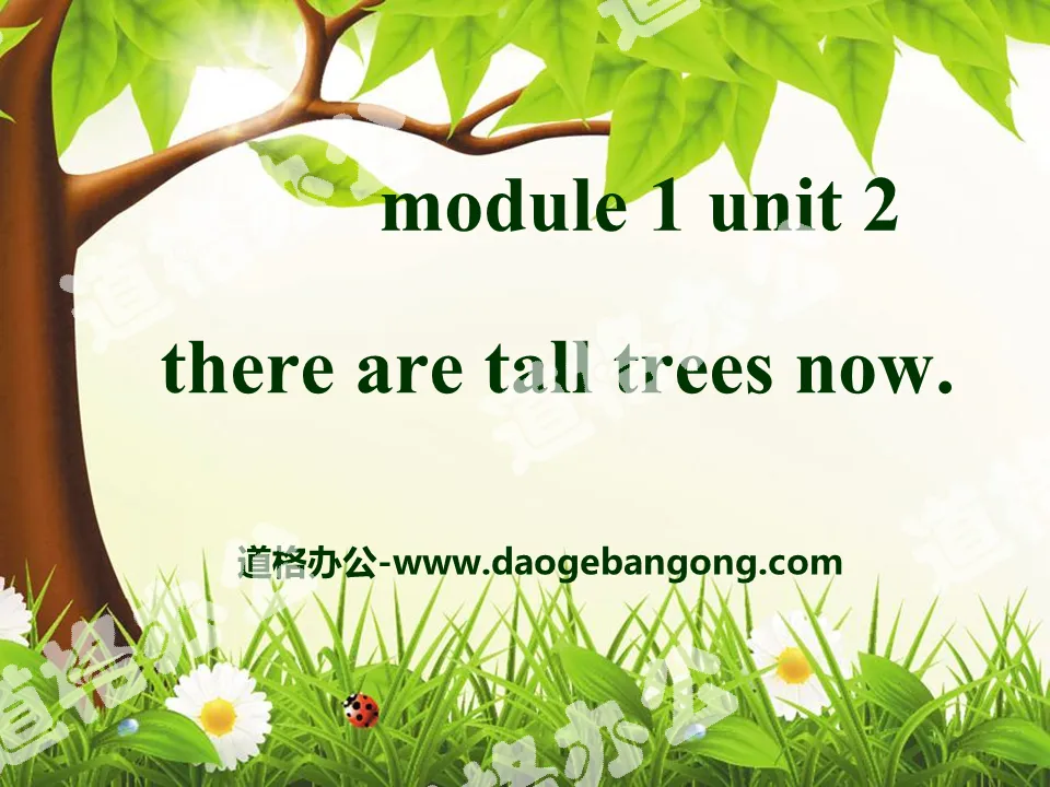 "There are tall trees now" PPT courseware 3