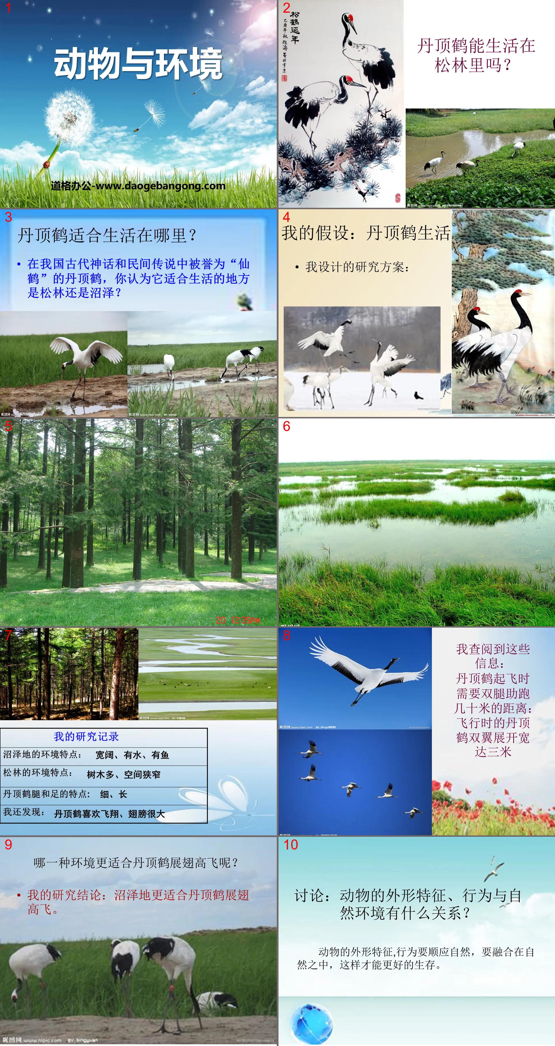 "Animals and the Environment" Biology and Environment PPT Courseware 2