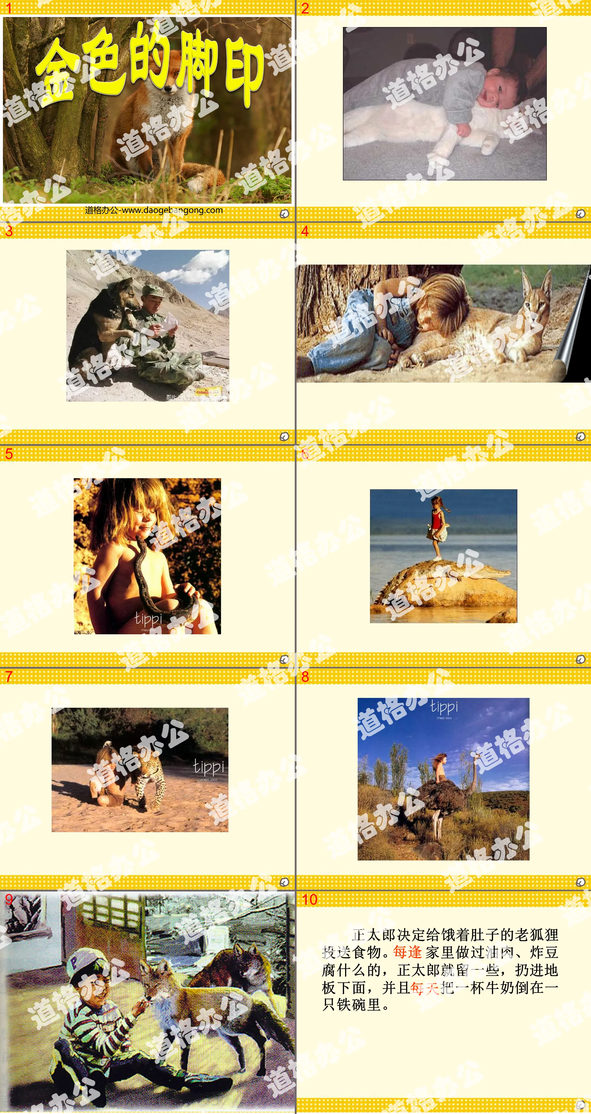 "Golden Footprints" PPT courseware download 2