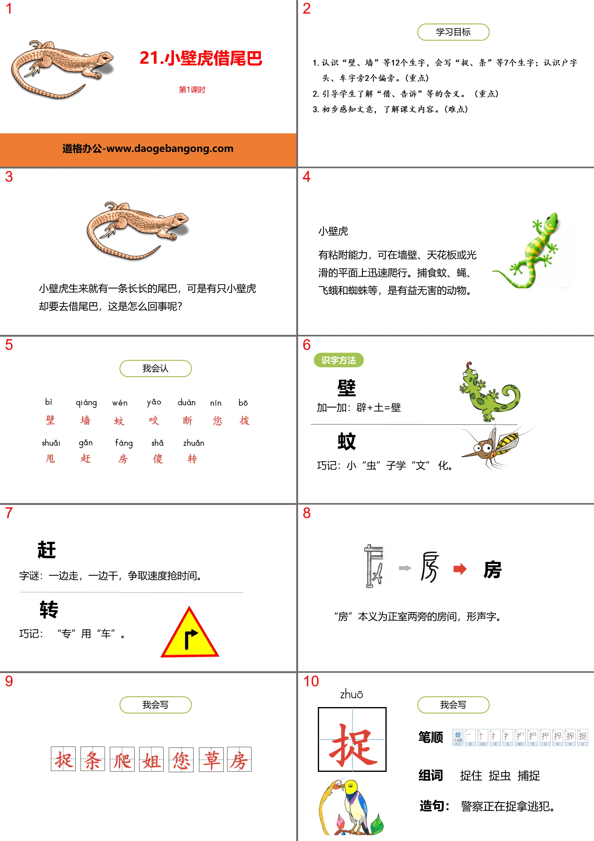 《小壁虎借尾巴》PPT課件(第1課時)