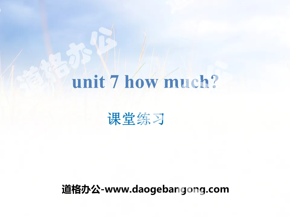 《How much?》课堂练习PPT
