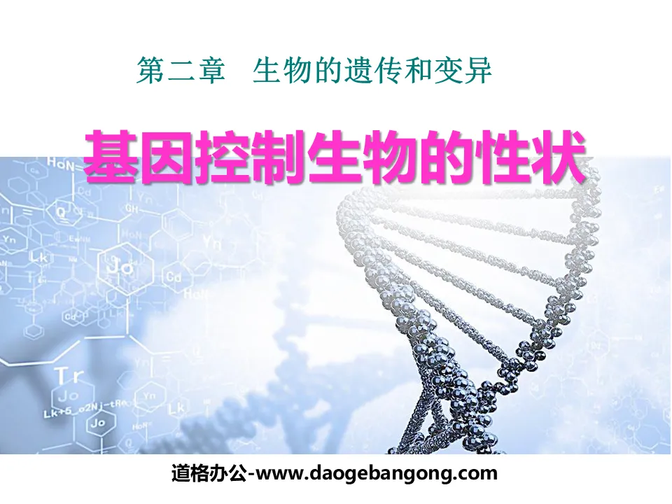 "Genes Control Biological Traits" Biological Inheritance and Variation PPT Courseware 4