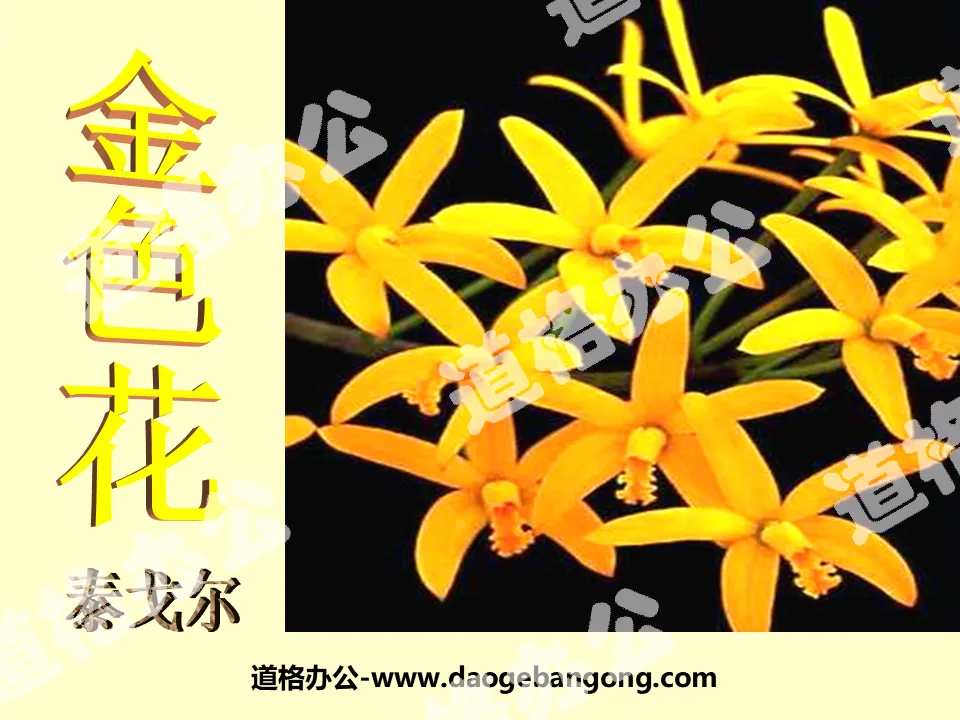 "Two Poems-Golden Flower" PPT courseware 4