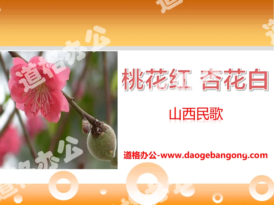 "Peach Blossom, Red Apricot Blossom and White" PPT courseware