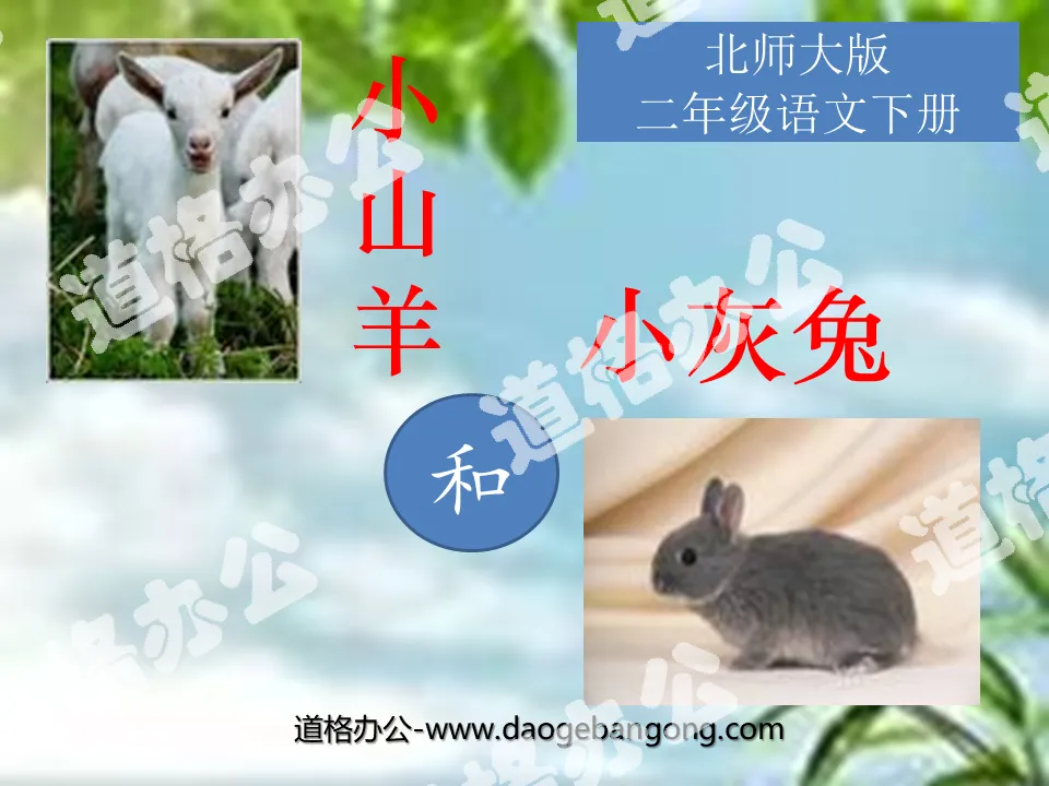 "Little Goat and Little Gray Rabbit" PPT Courseware 4