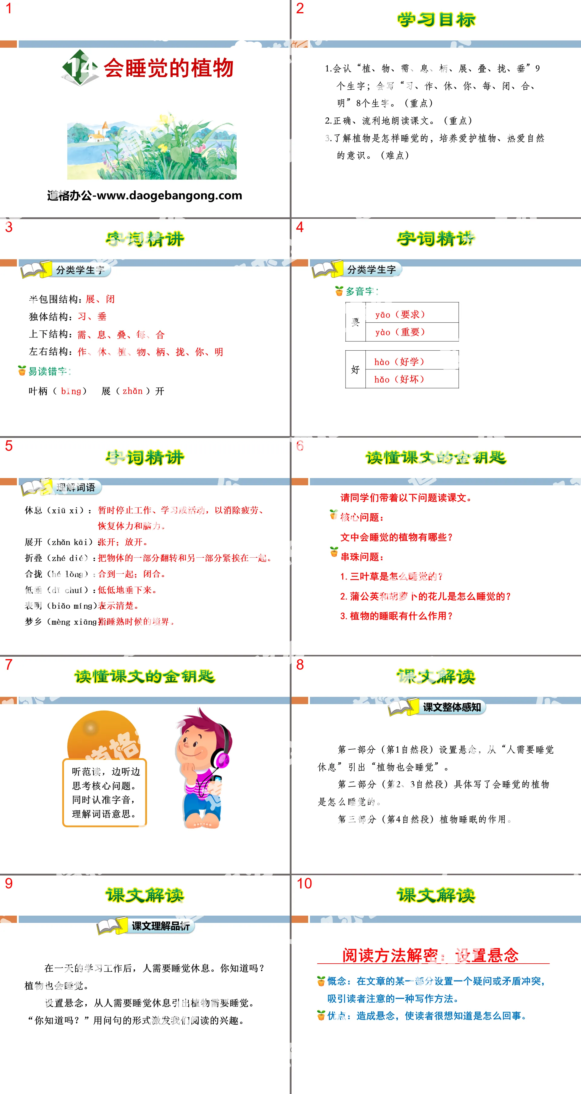 《會睡覺的植物》PPT