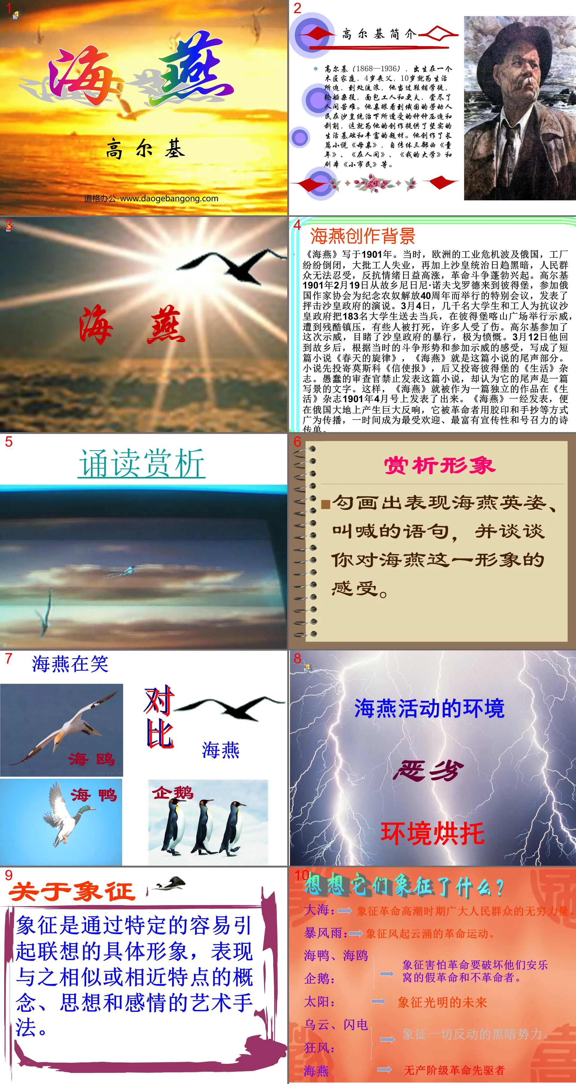 《海燕》PPT课件9
