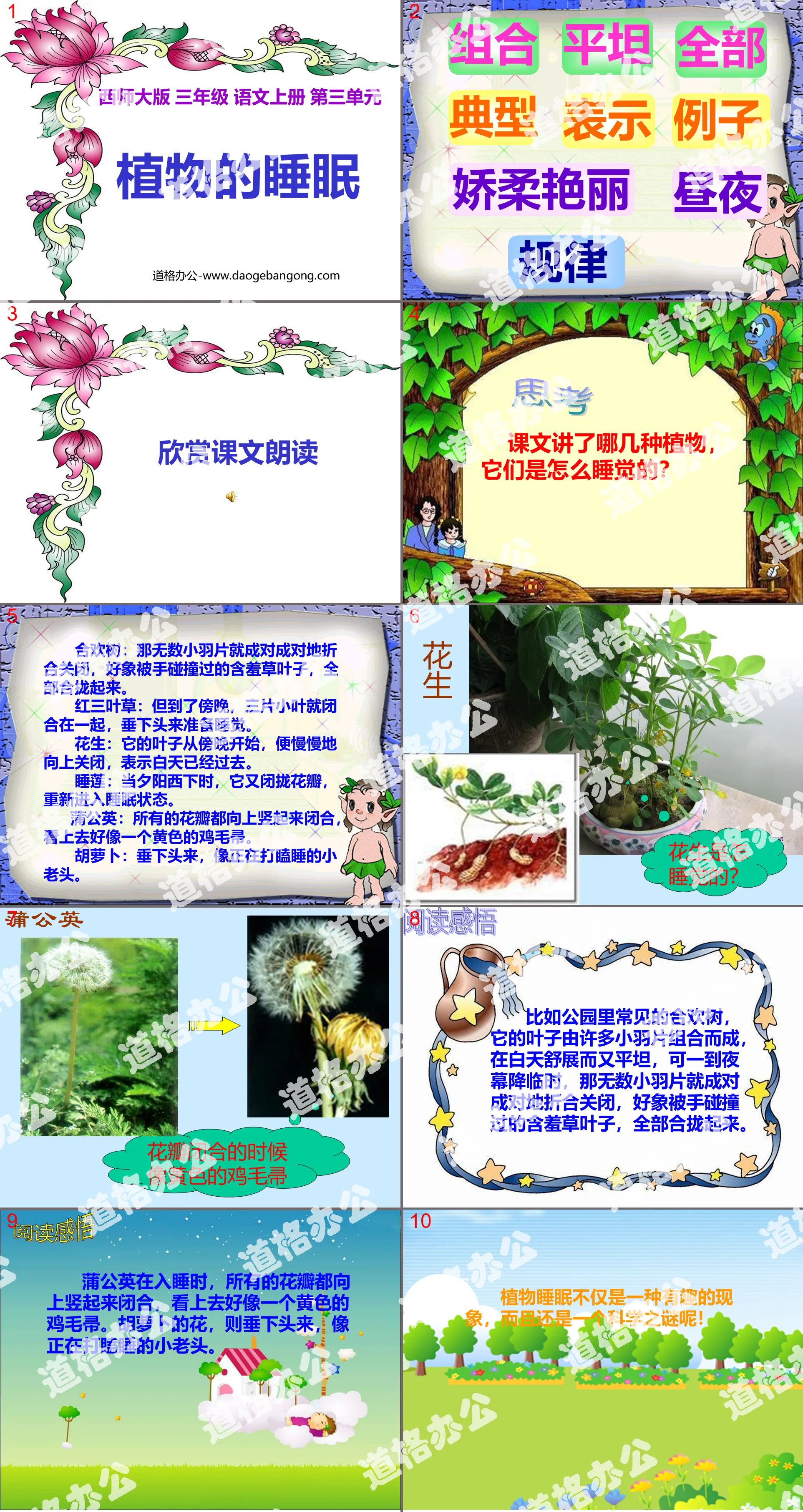 《植物的睡眠》PPT課件2