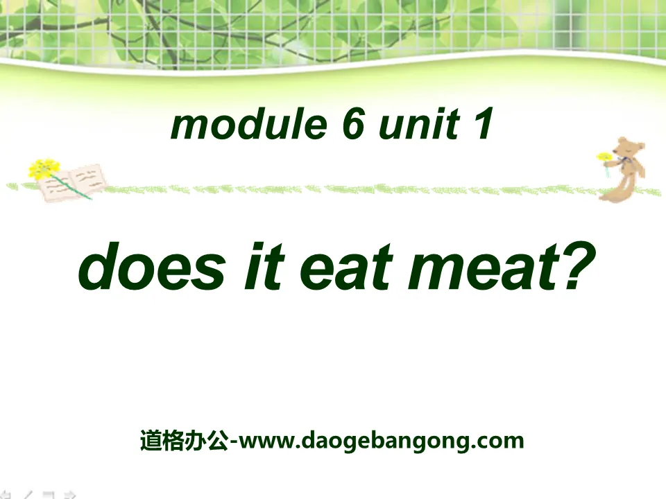 "Does it eat meat?" PPT courseware 3