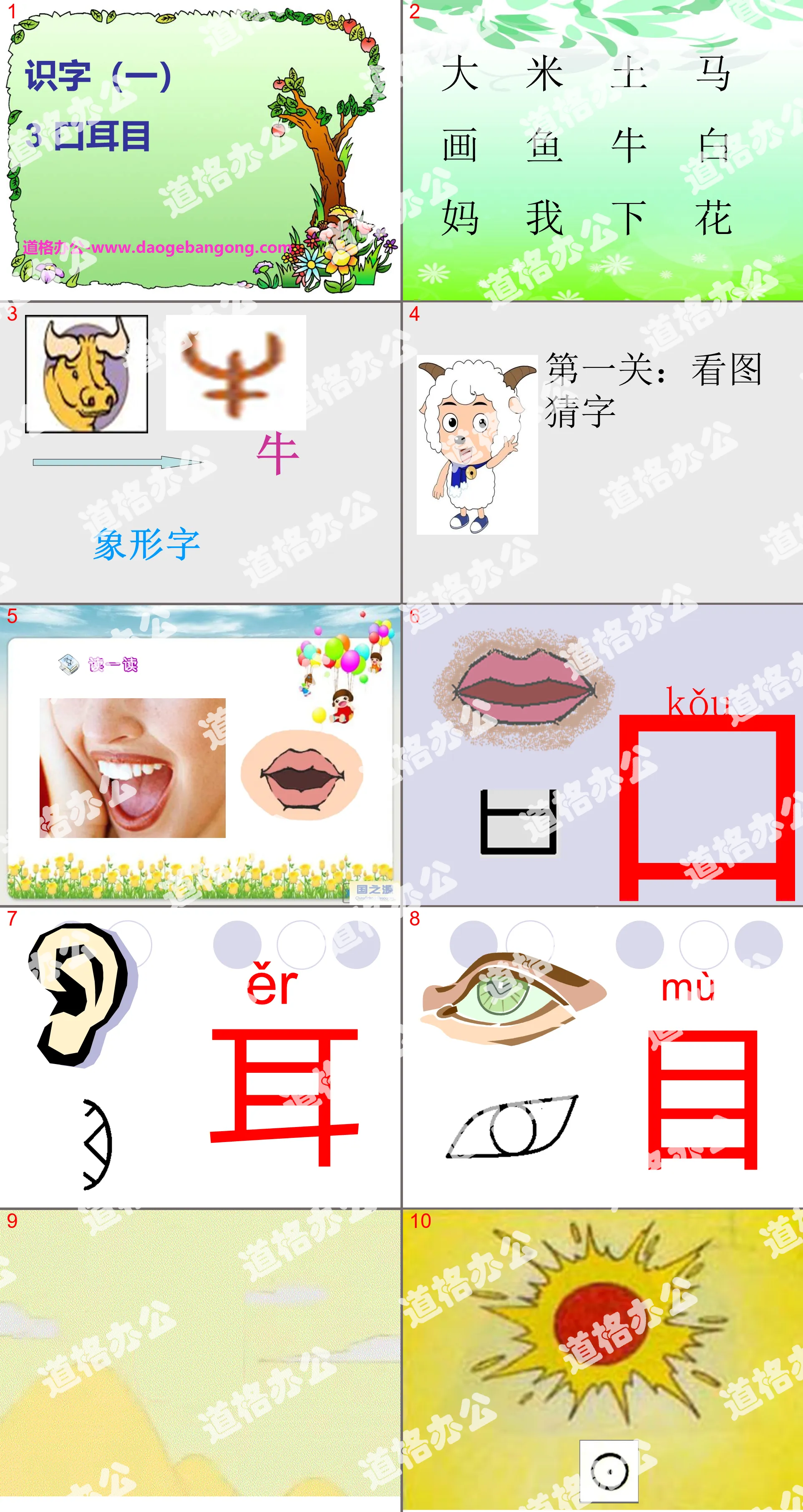 "Oral, Ears and Eyes" PPT courseware 8