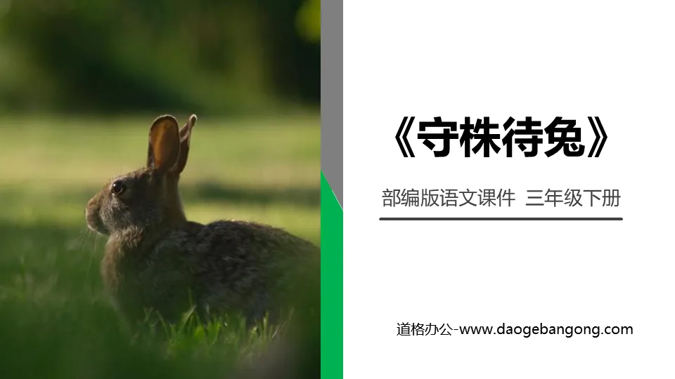 "Sit back and wait for the rabbit" PPT courseware free download