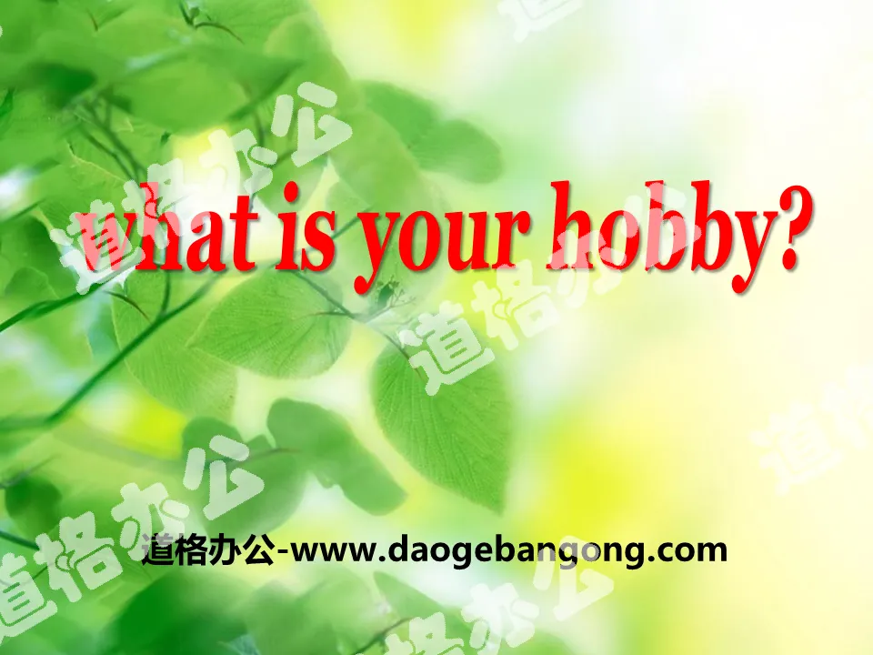 "What's your hobby?" PPT