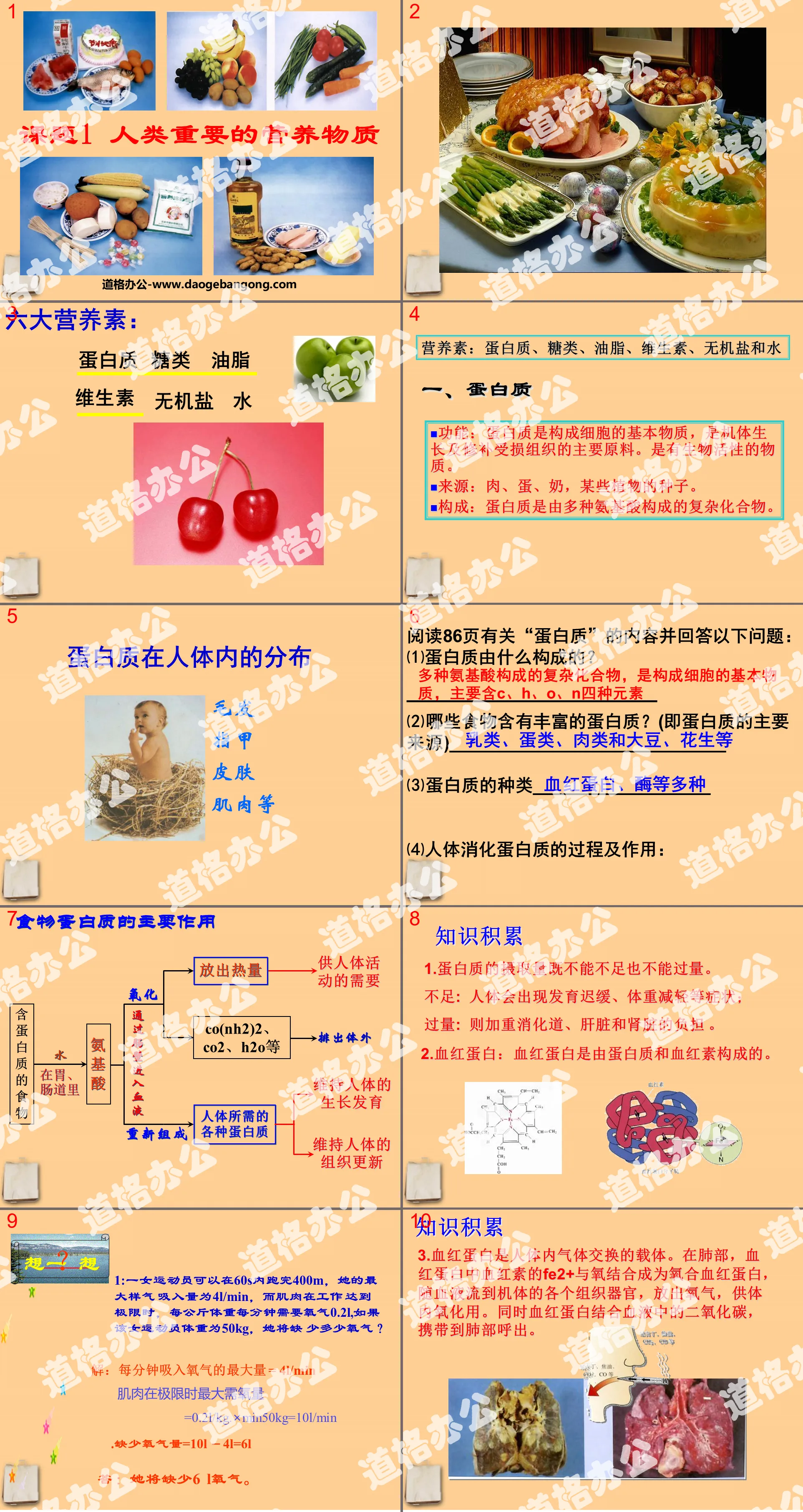 《人類重要的營養物質》化學與生活PPT課件5