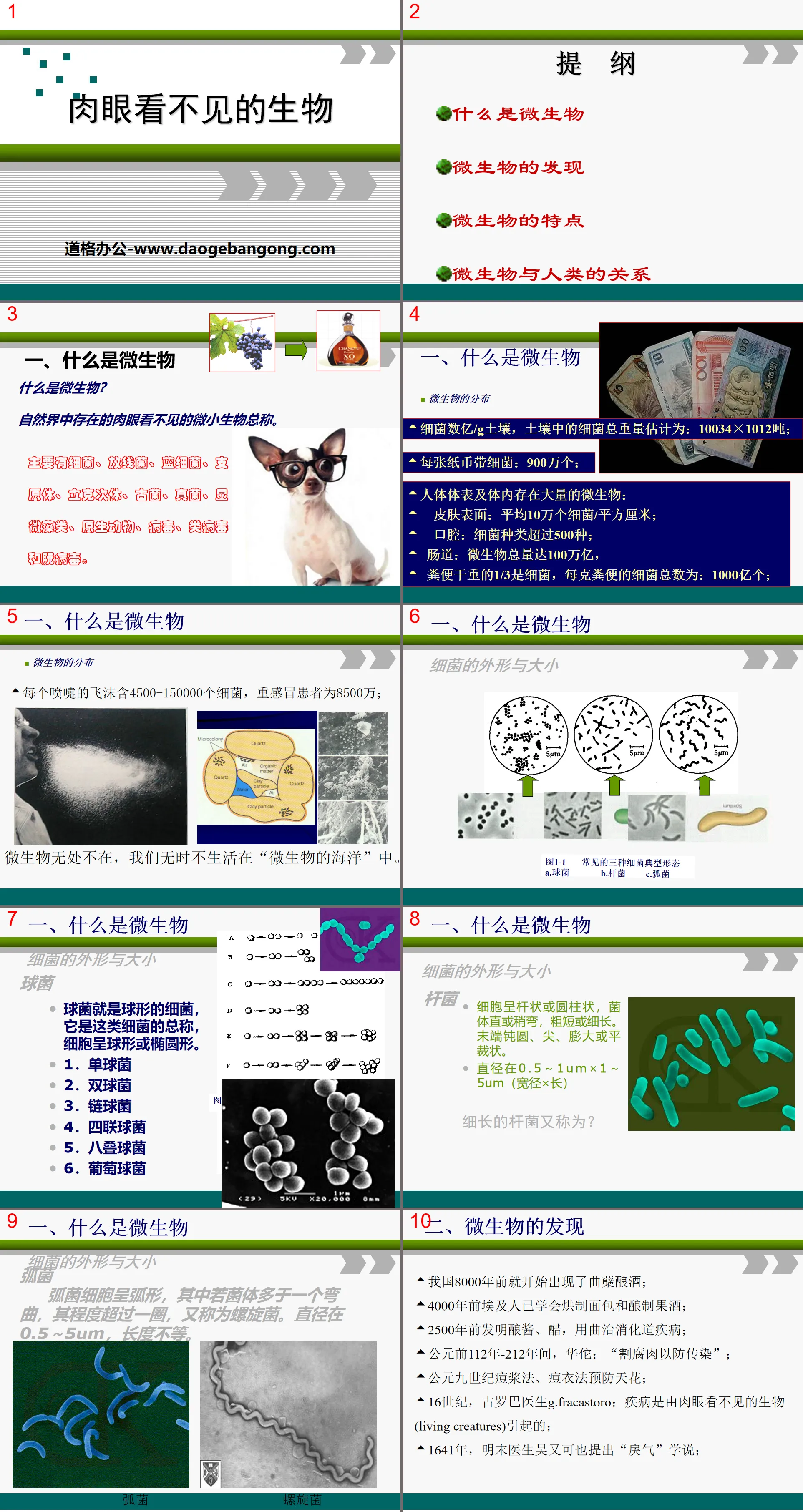 《肉眼看不见的生物》认识更多的生物PPT课件
