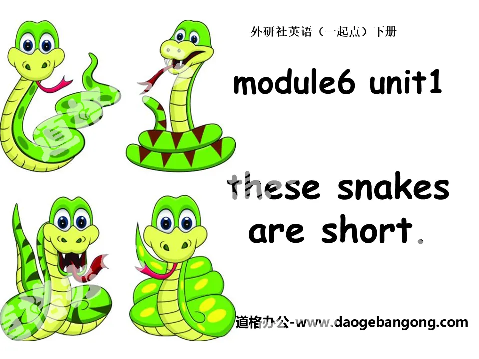 "These snakes are short" PPT courseware 4