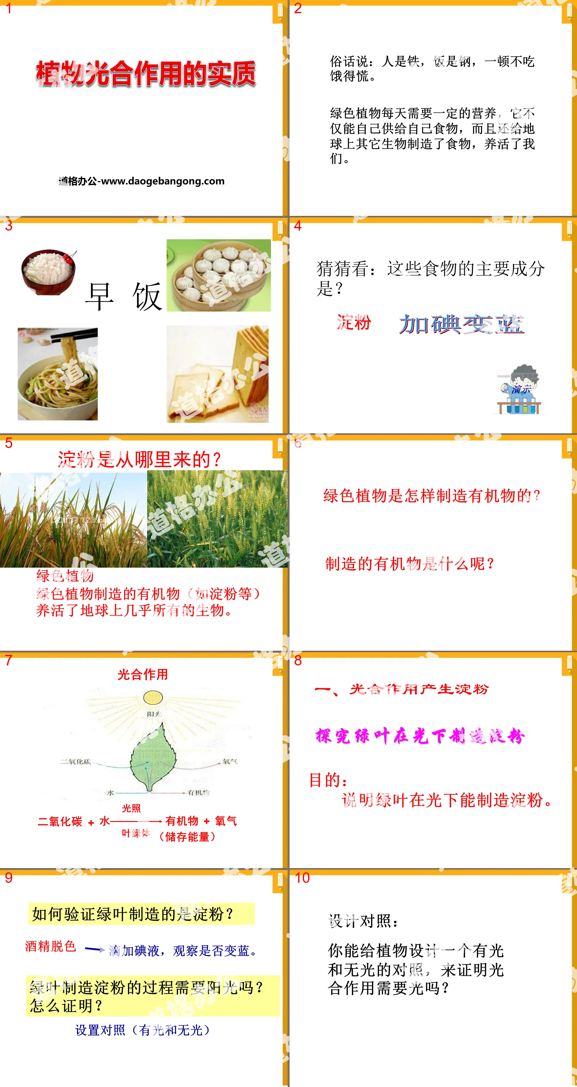 《植物光合作用的實質》PPT課件