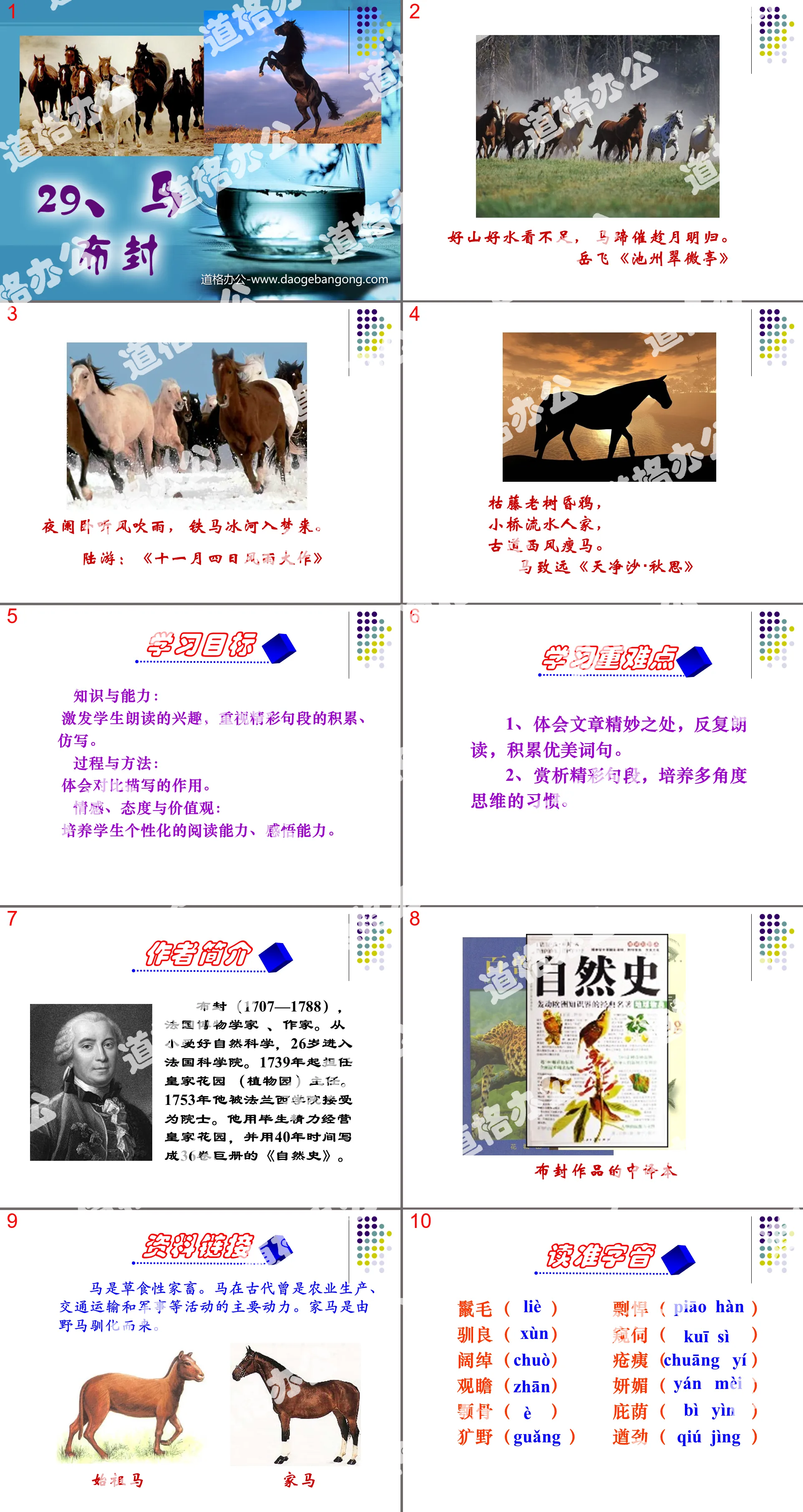 "Horse" PPT courseware 5