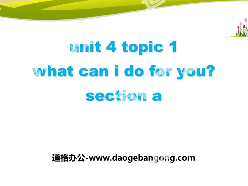 "What can I do for you?" SectionA PPT