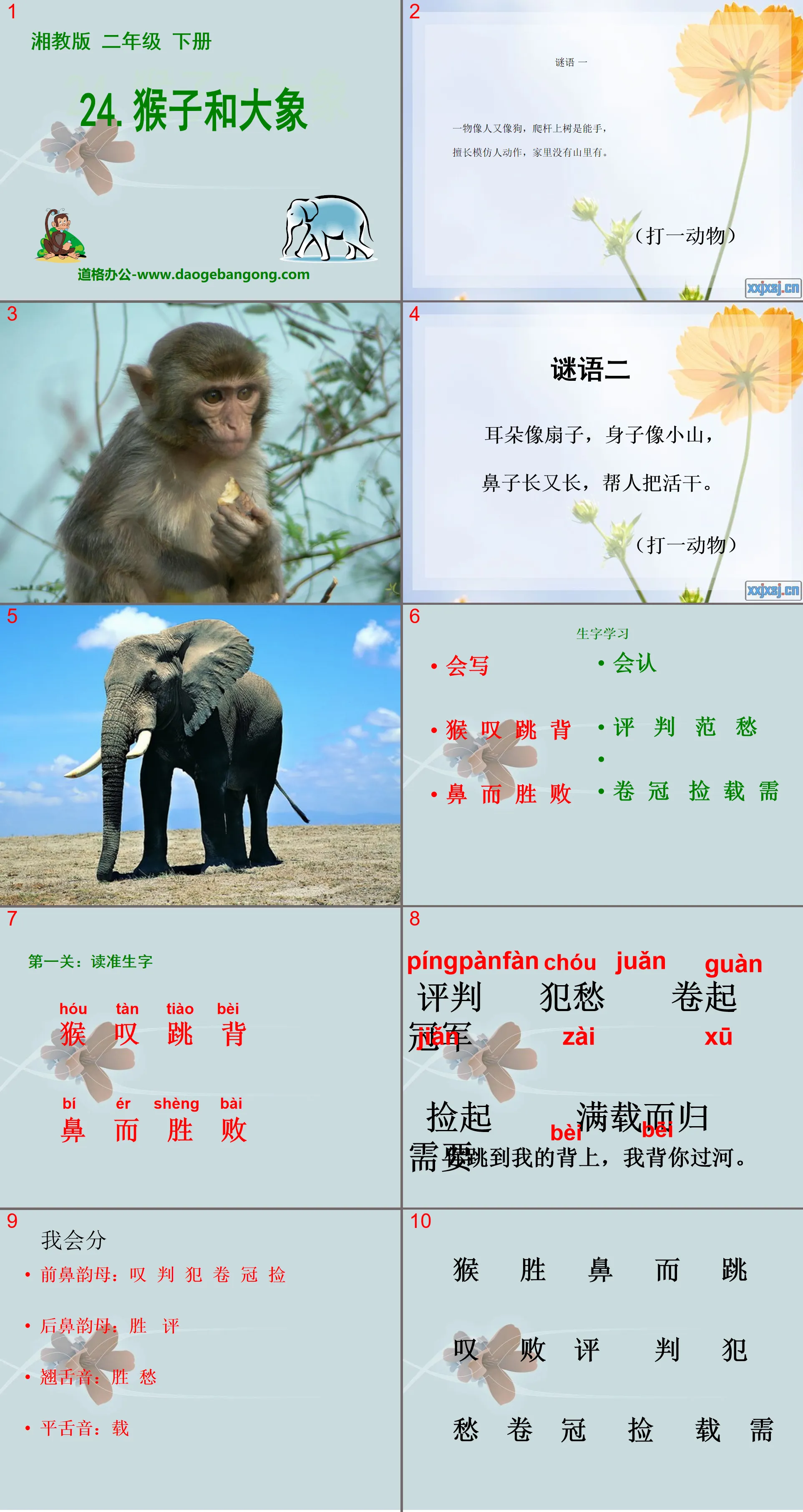 "Monkey and Elephant" PPT courseware 2