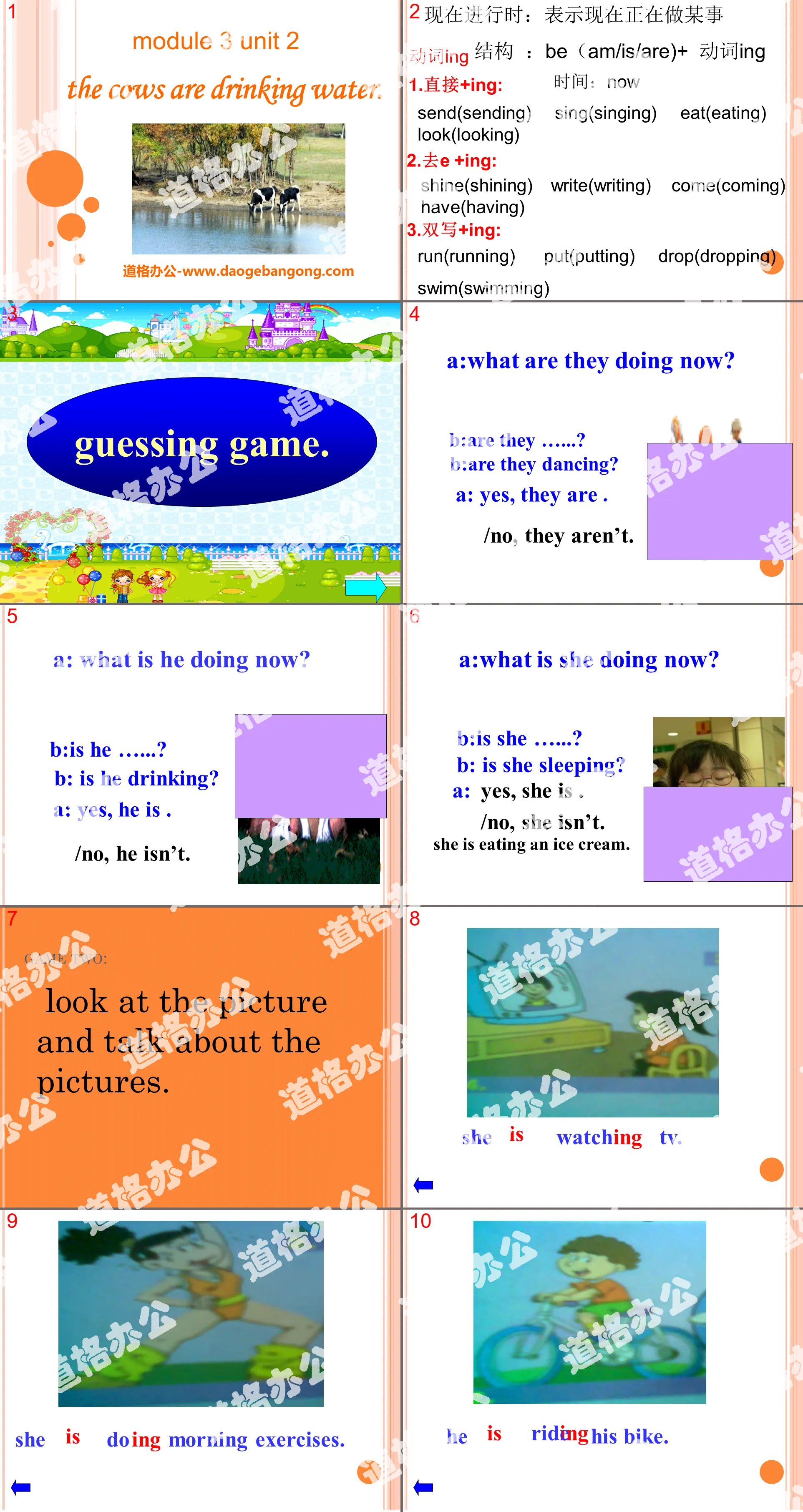 "The cows are drinking water" PPT courseware 4