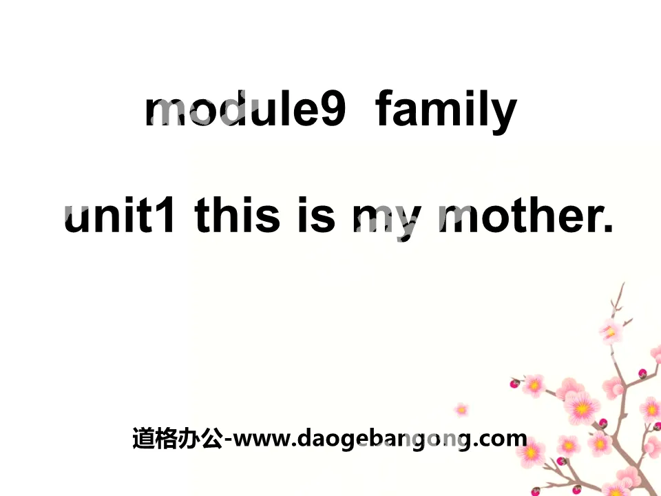 "This is my mother" PPT courseware