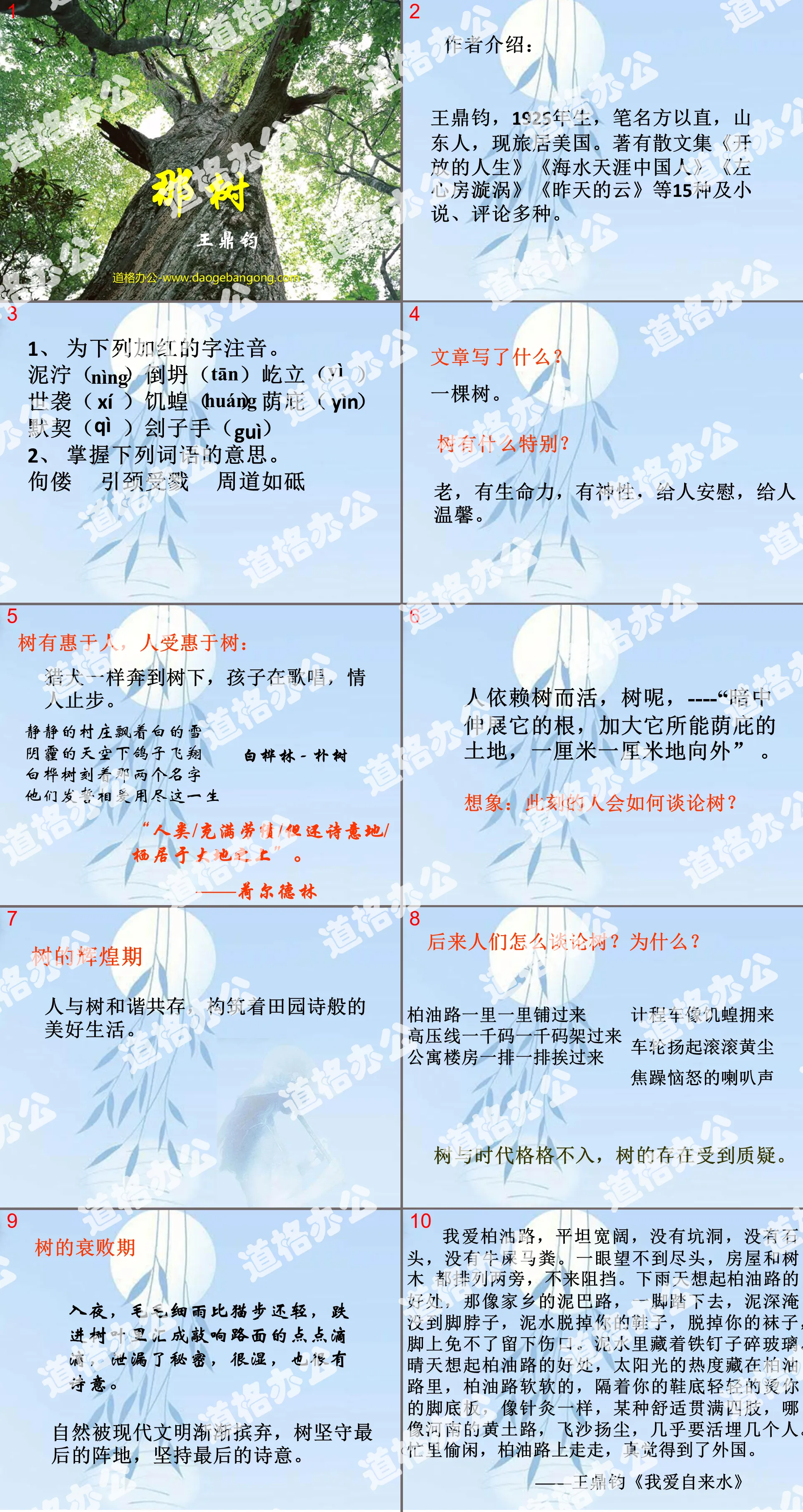 《那树》PPT课件
