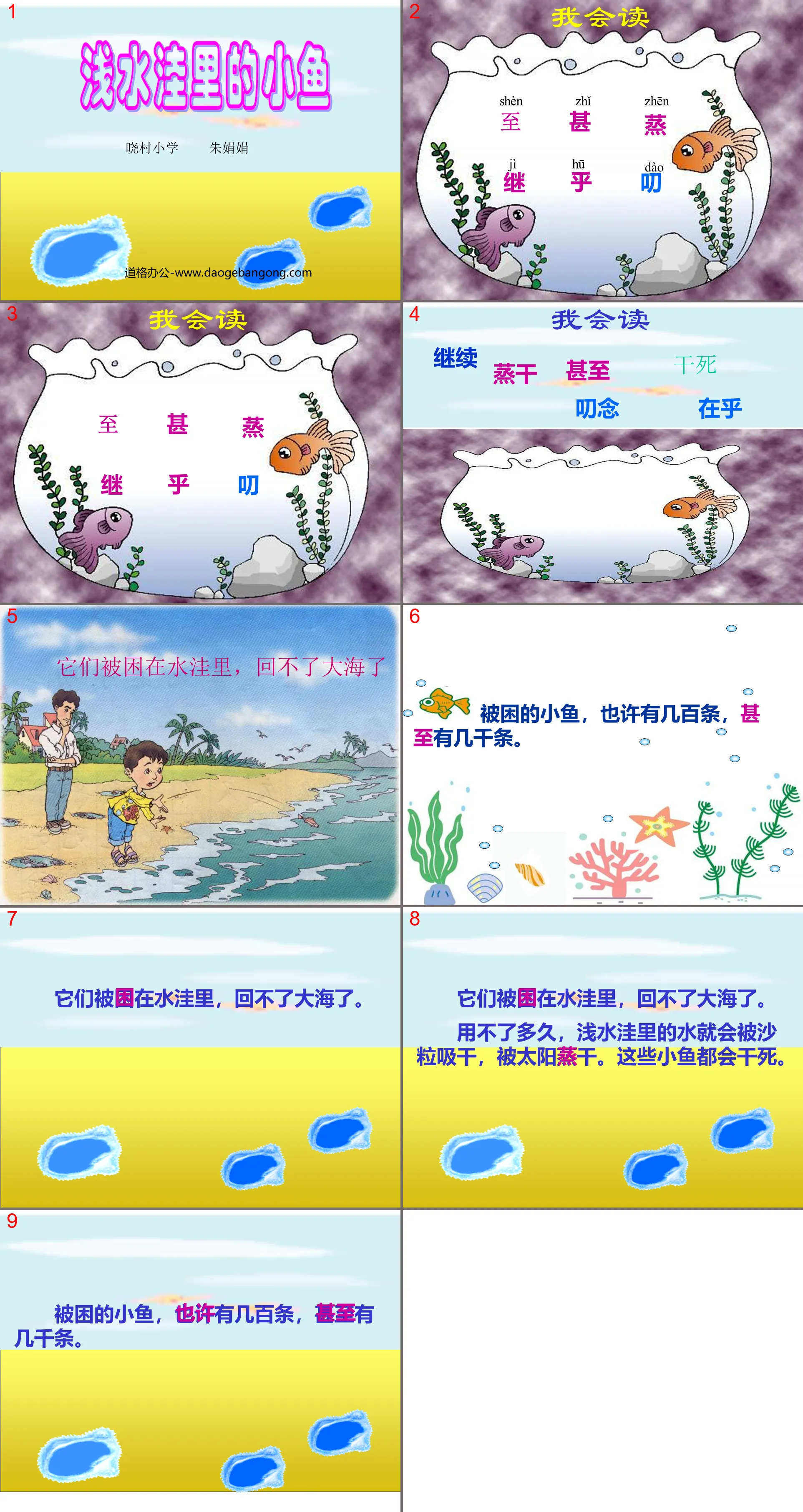 《淺水窪裡的小魚》PPT教學課程下載3