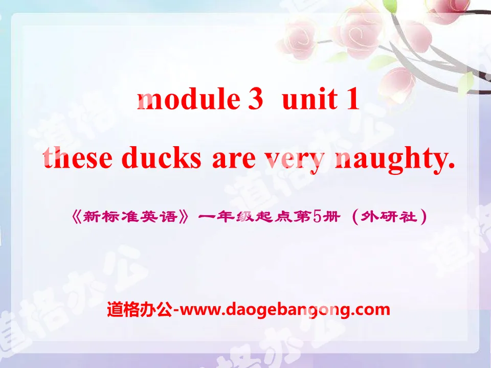 "These ducks are very naughty!" PPT courseware 3