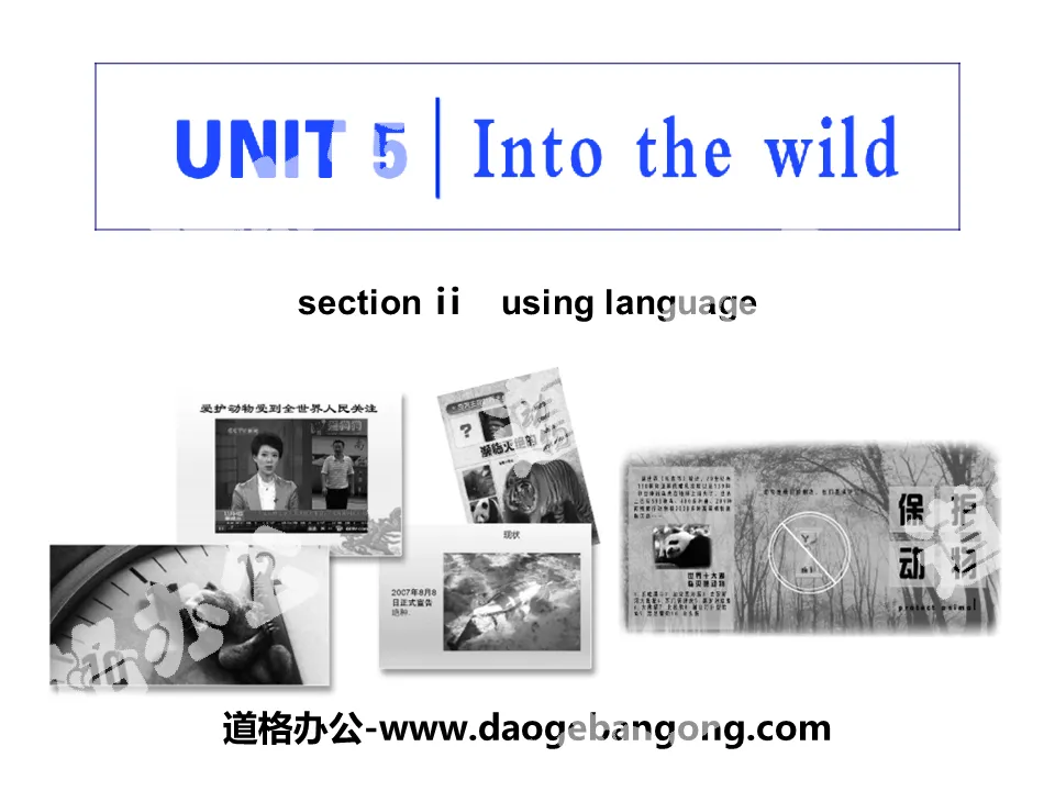 "Into the wild" Section ⅡPPT courseware