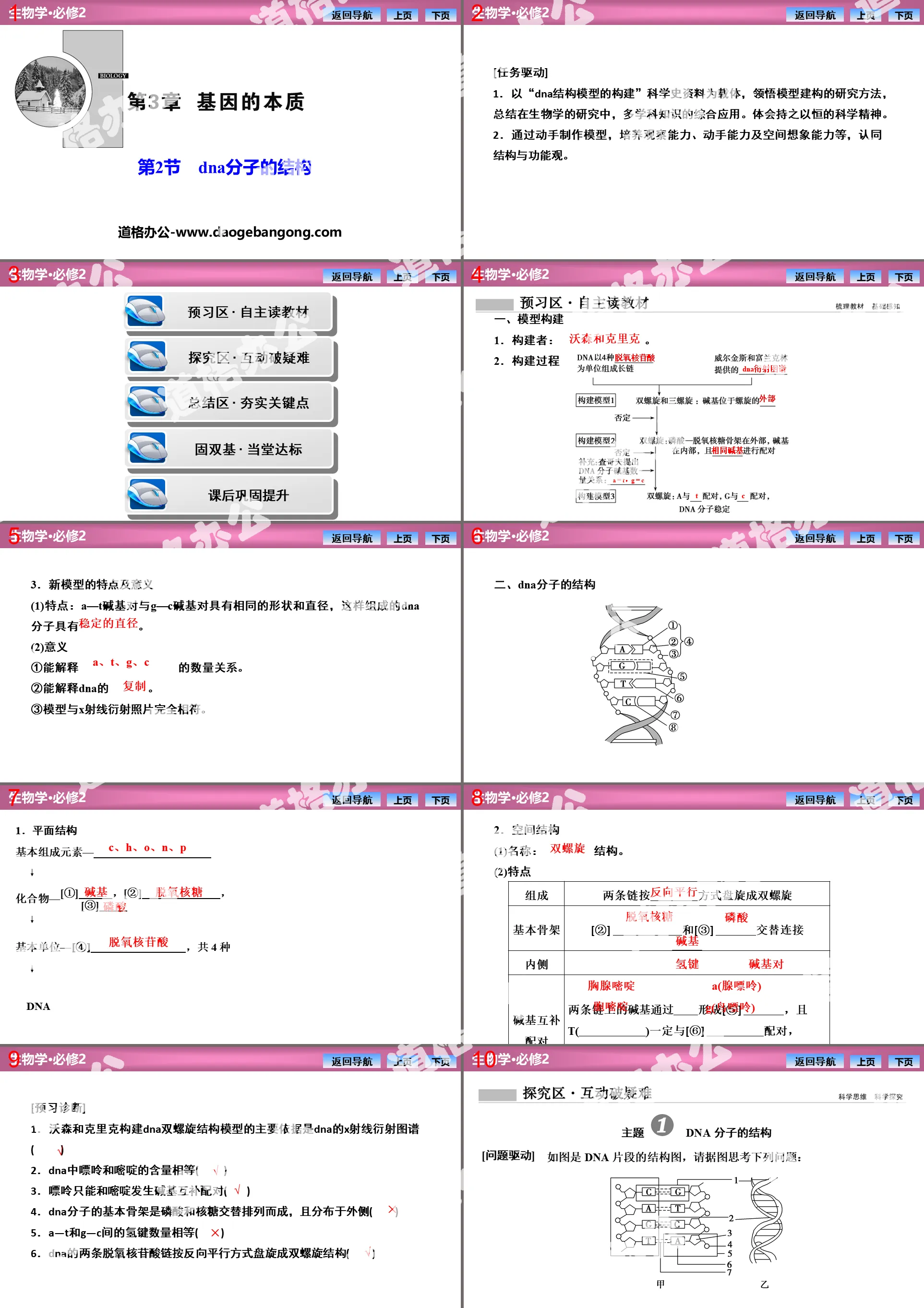 《DNA的结构》基因的本质PPT课件