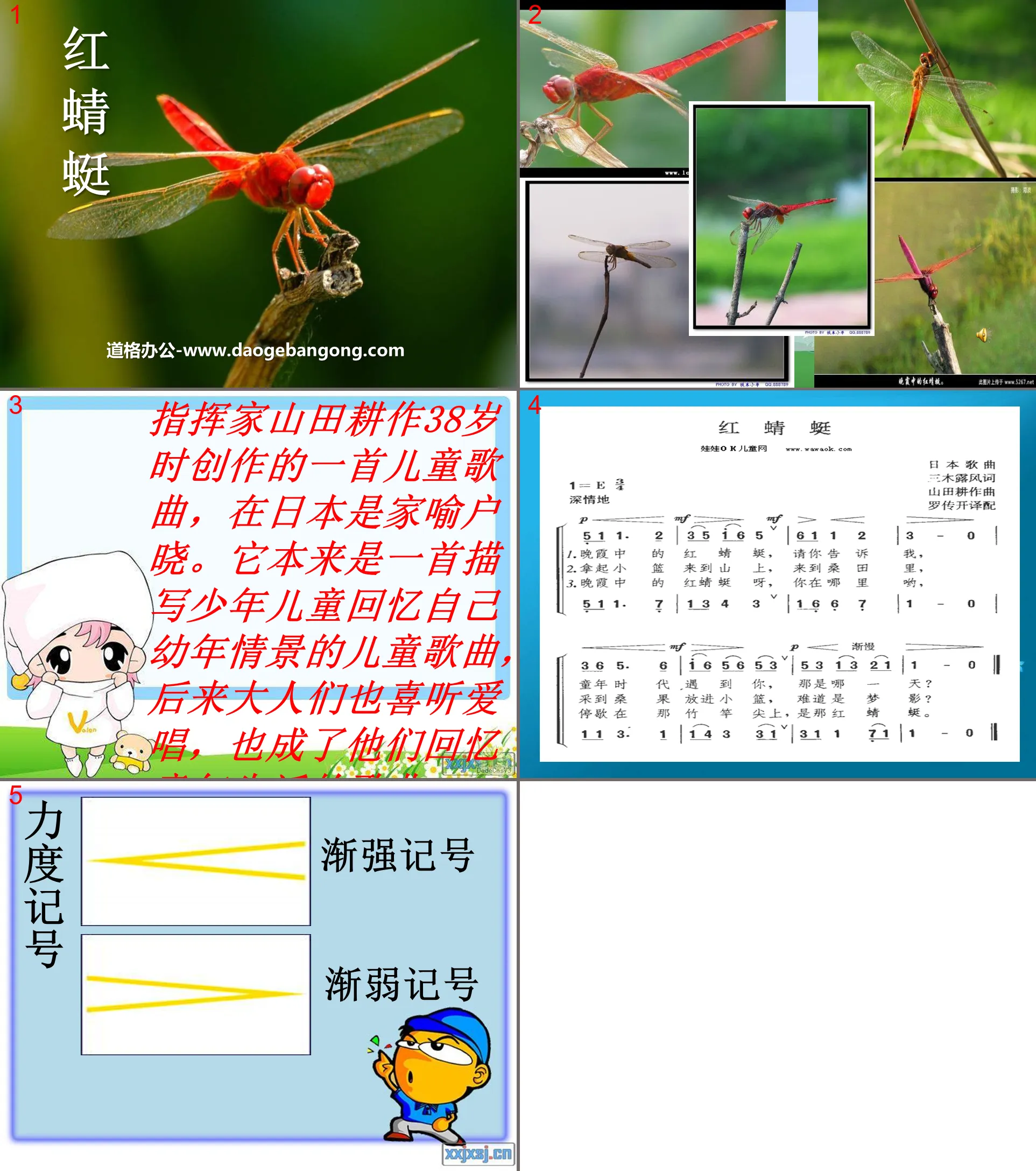 "Red Dragonfly" PPT courseware