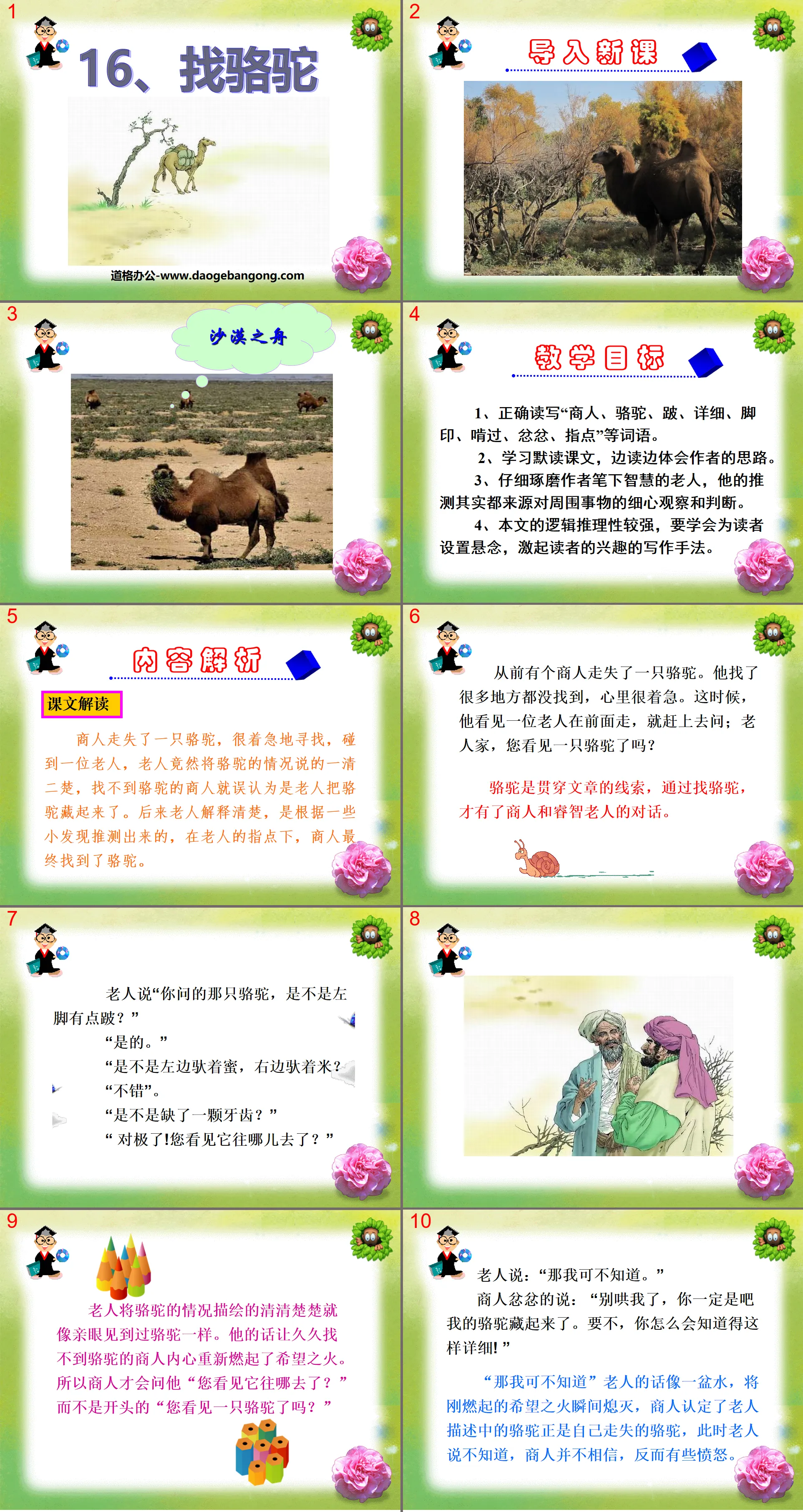 "Looking for Camels" PPT courseware 3