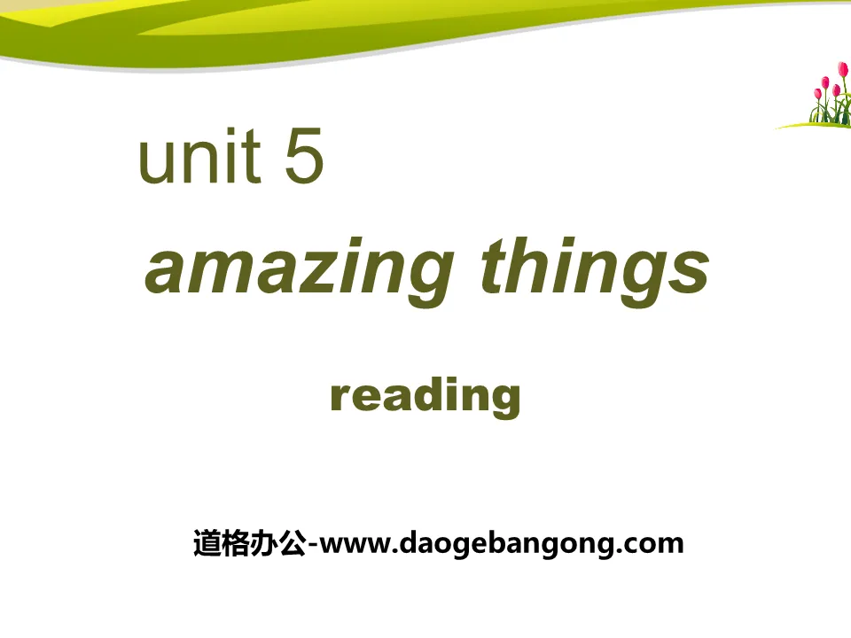 《Amazing things》ReadingPPT