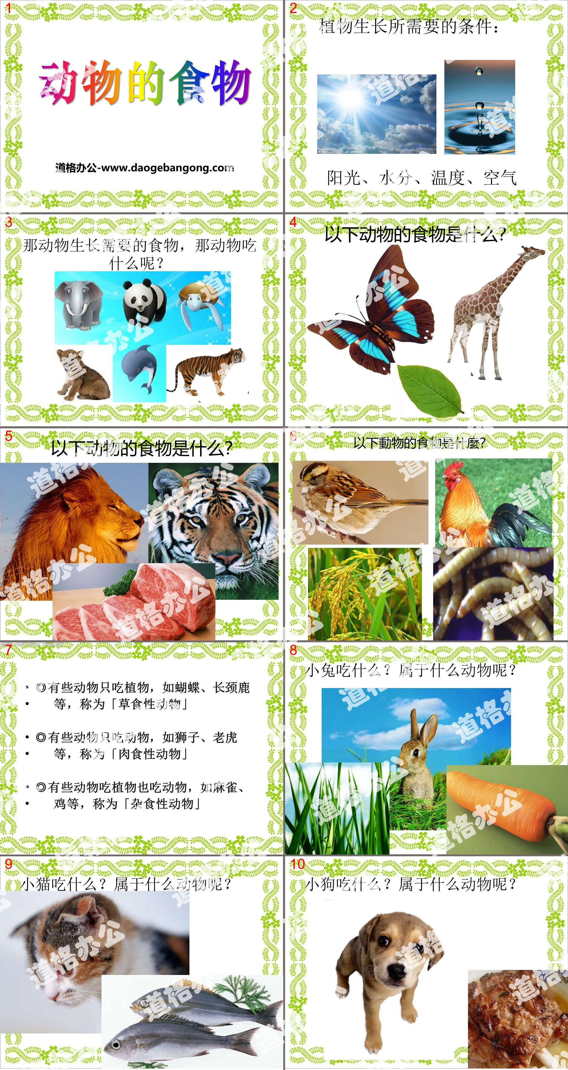 "Animal Food" Animal Life PPT Courseware 2