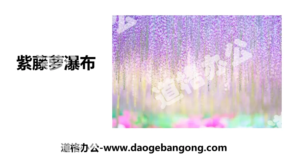 "Wisteria Waterfall" PPT free download