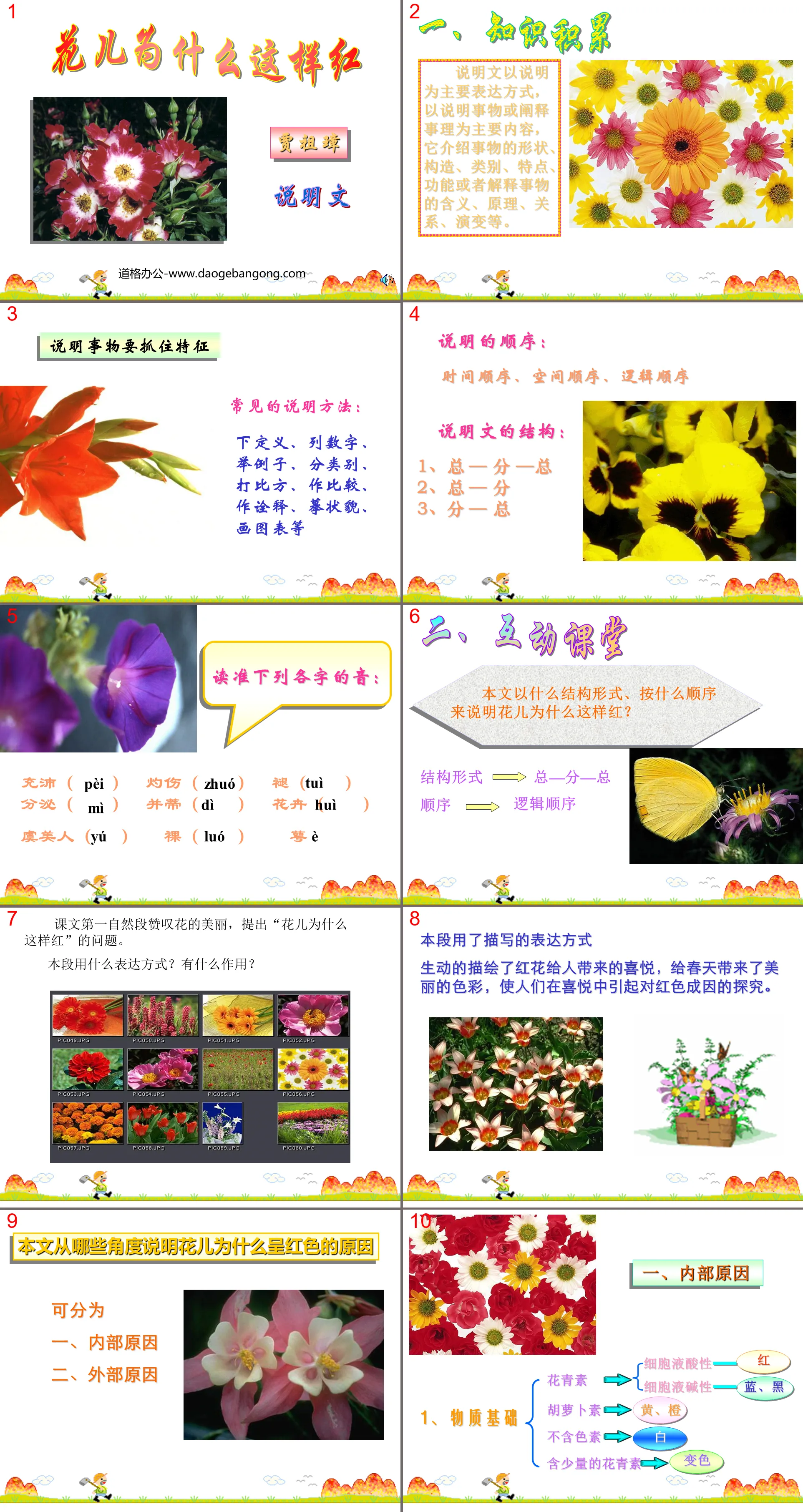 « Pourquoi les fleurs sont-elles si rouges » PPT courseware 3